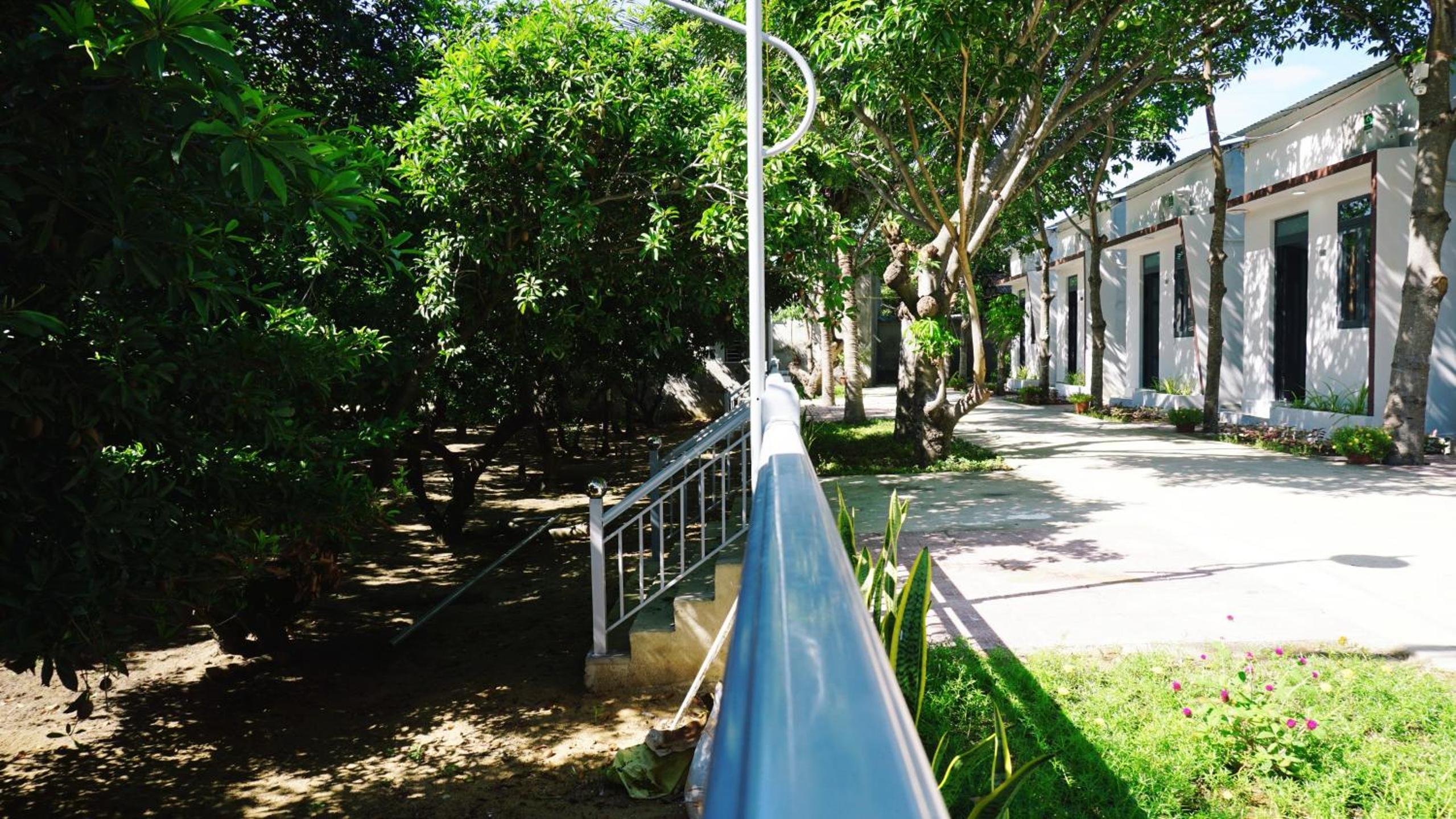Photo 20