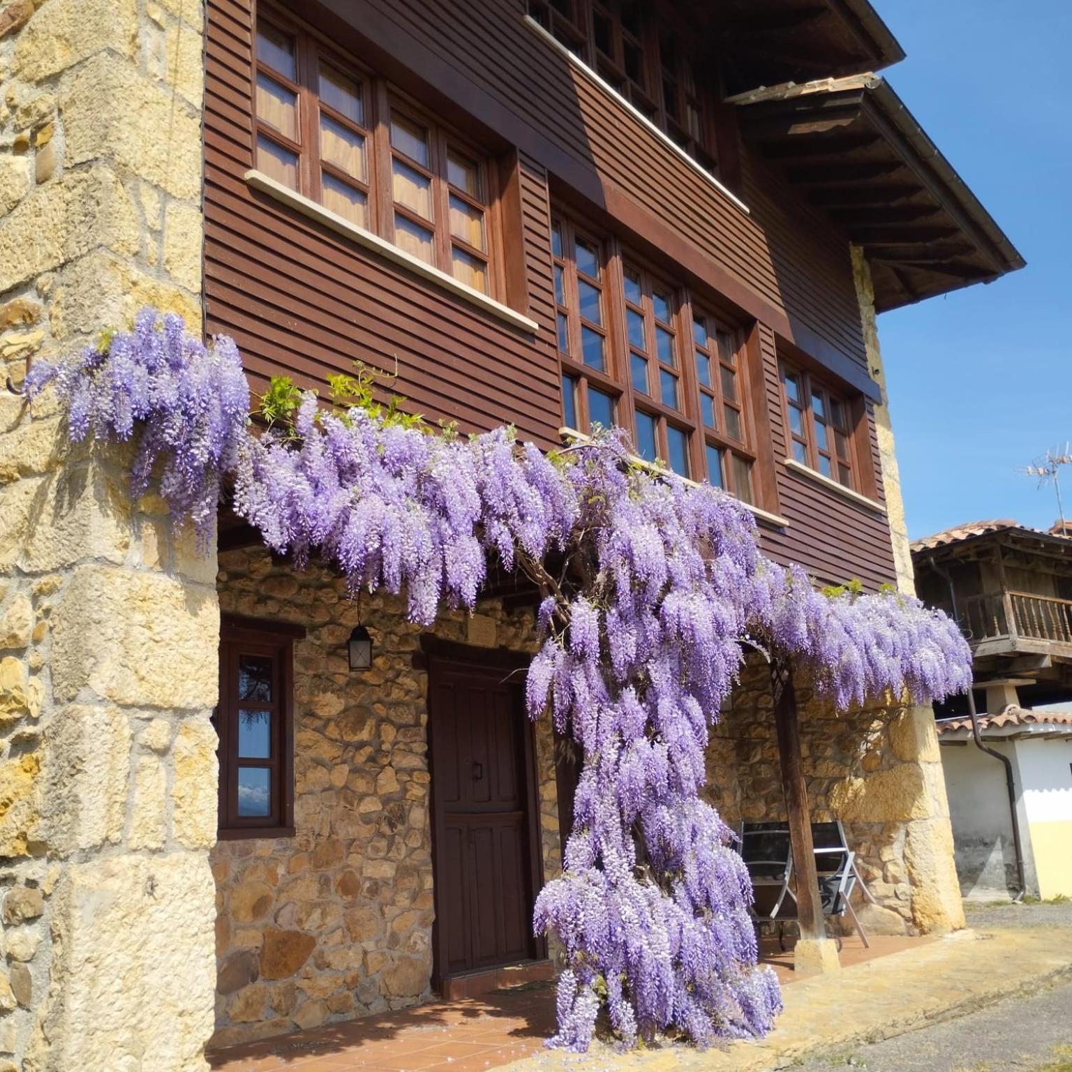 La Casona de Soviña view 4