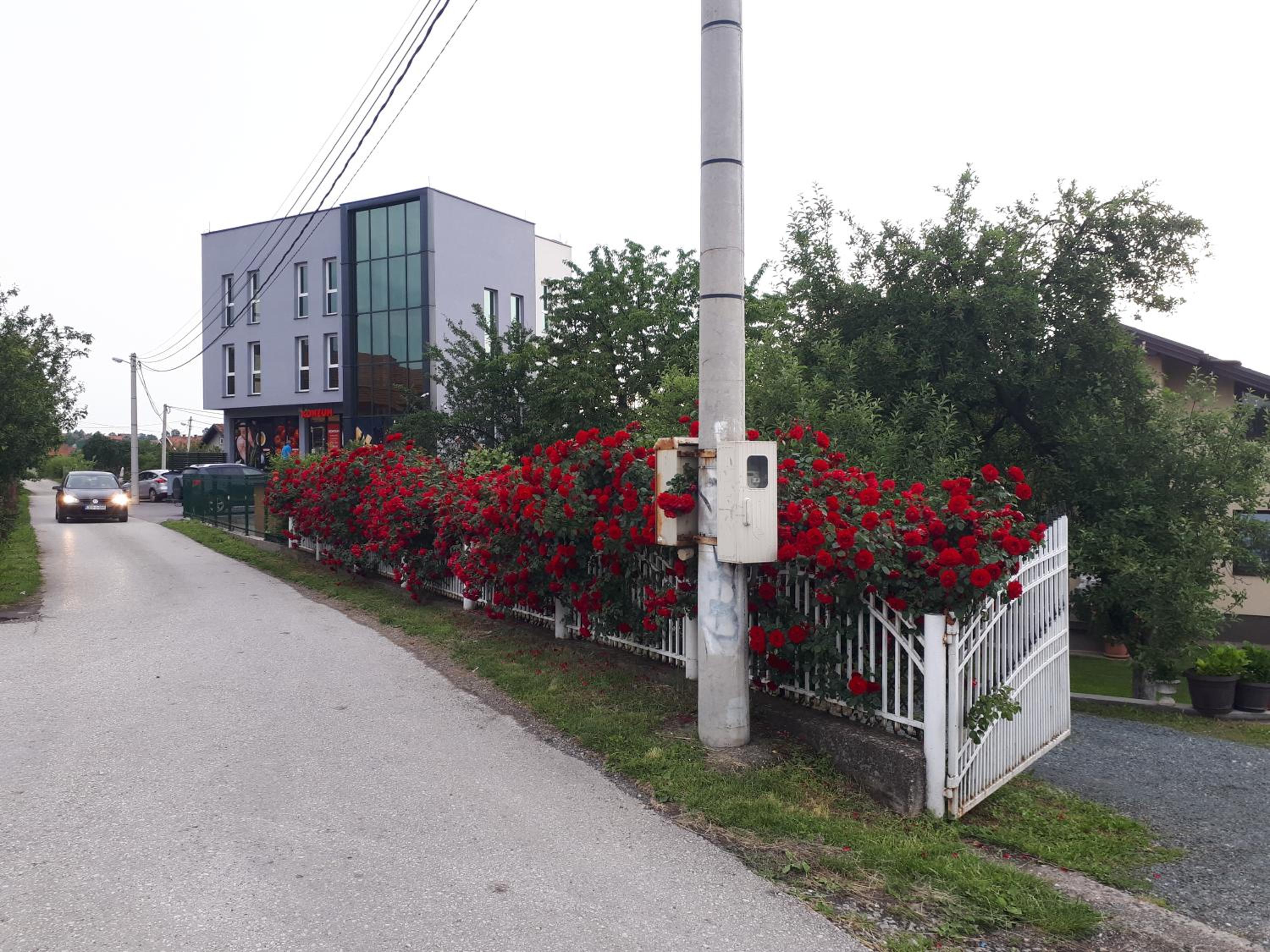 Grand Apartman