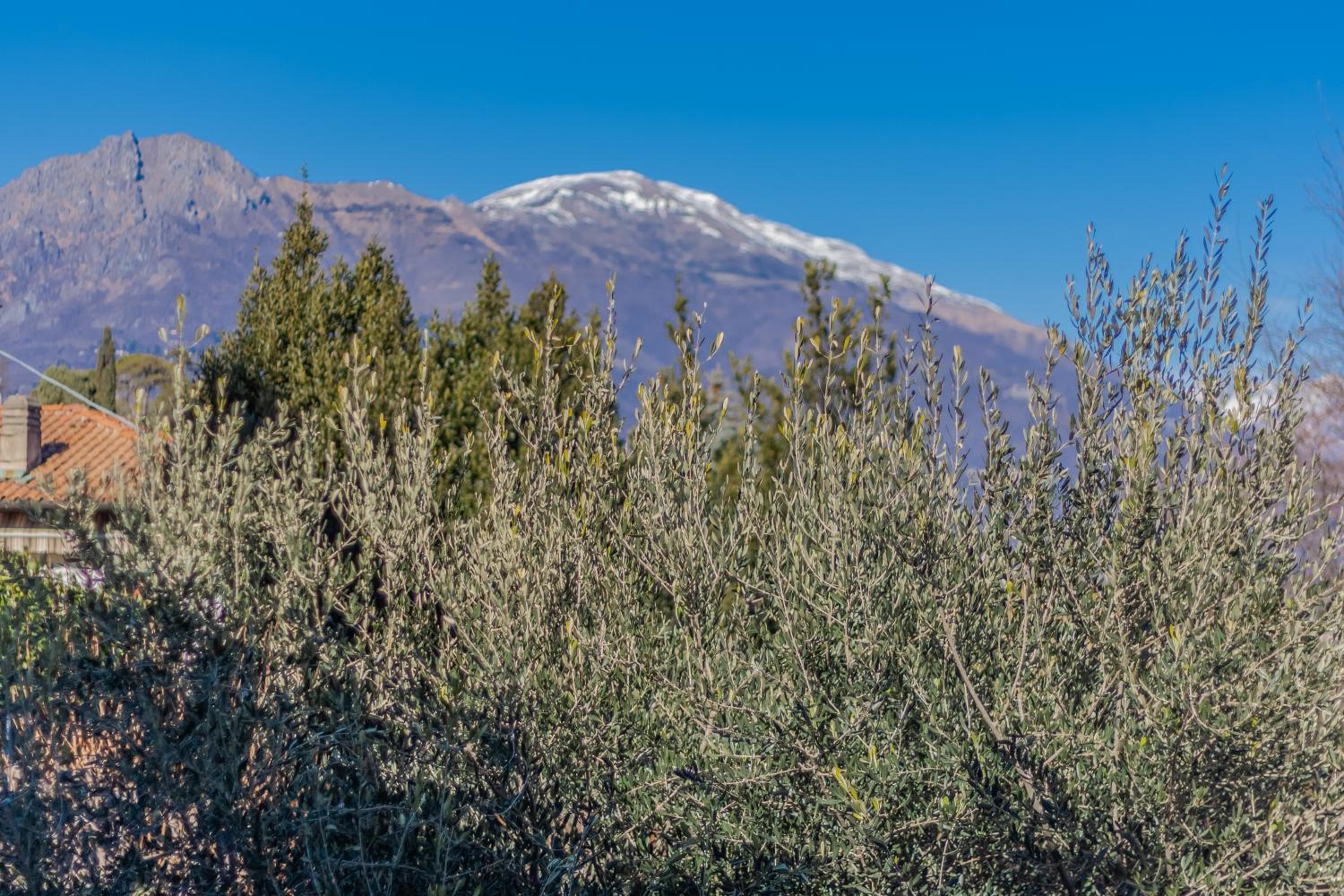 Ca' Maria Lavanda by Wonderful Italy view 4