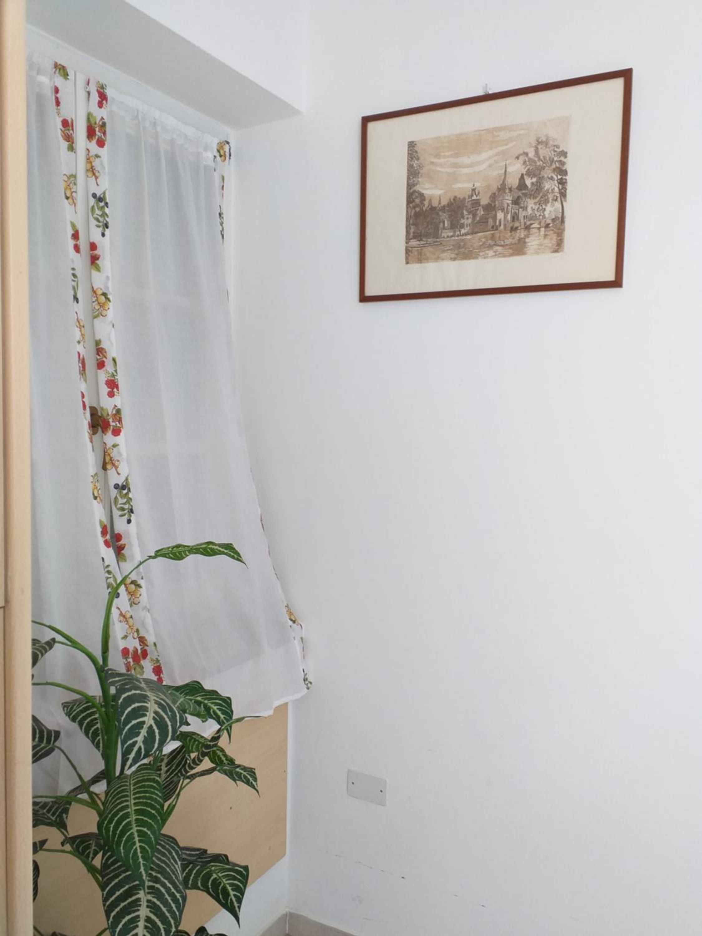 Photo 35