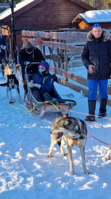 Stengelsen husky