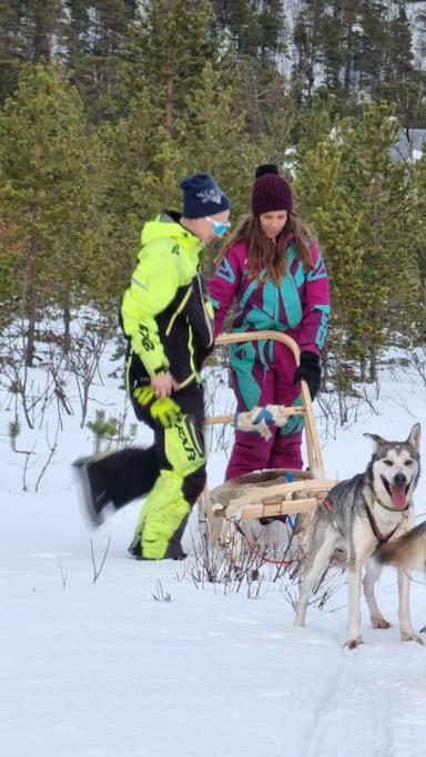 Stengelsen husky