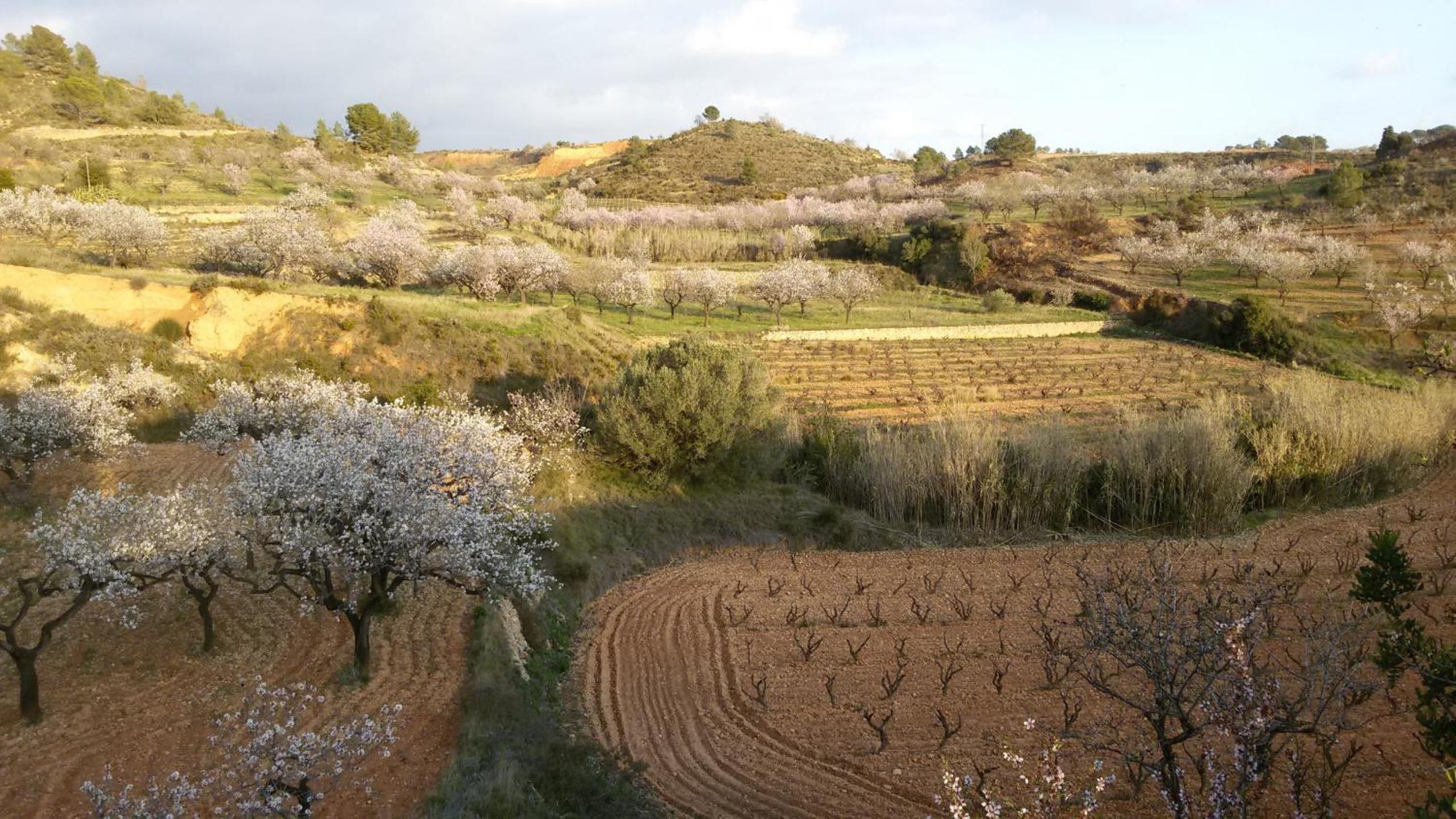 Catalunya Casas Breathtaking 18th Century Converted Convent!