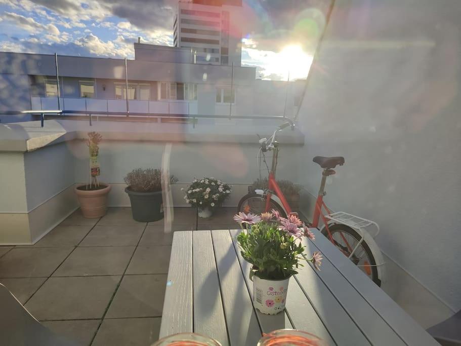 Studio mit Terrasse in zentraler Lage