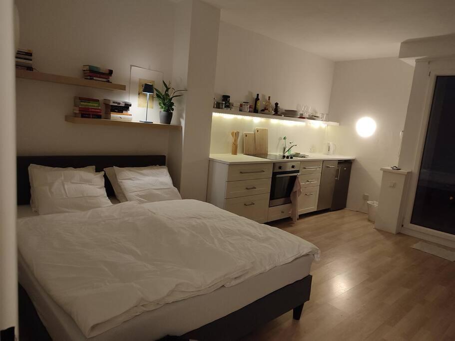 Studio mit Terrasse in zentraler Lage