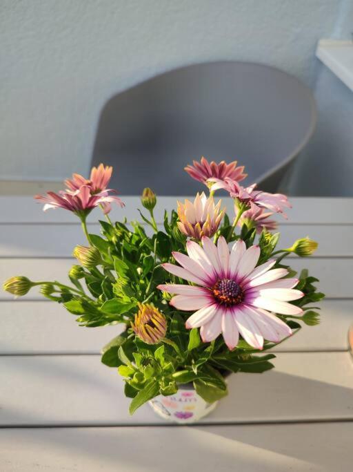 Studio mit Terrasse in zentraler Lage