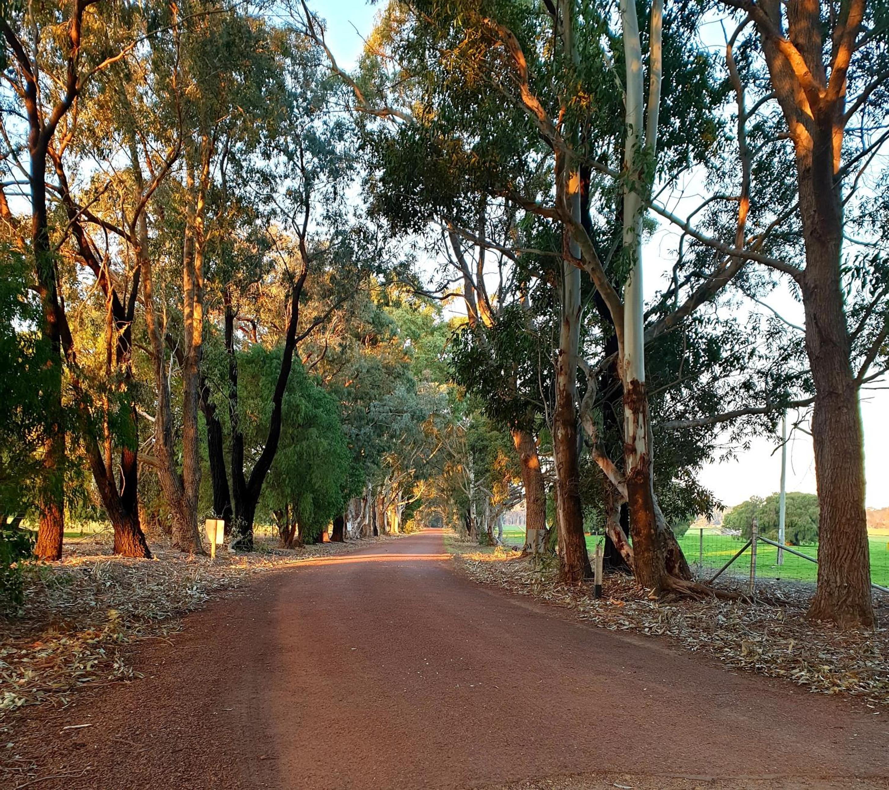 Bussells Bushland Cottages