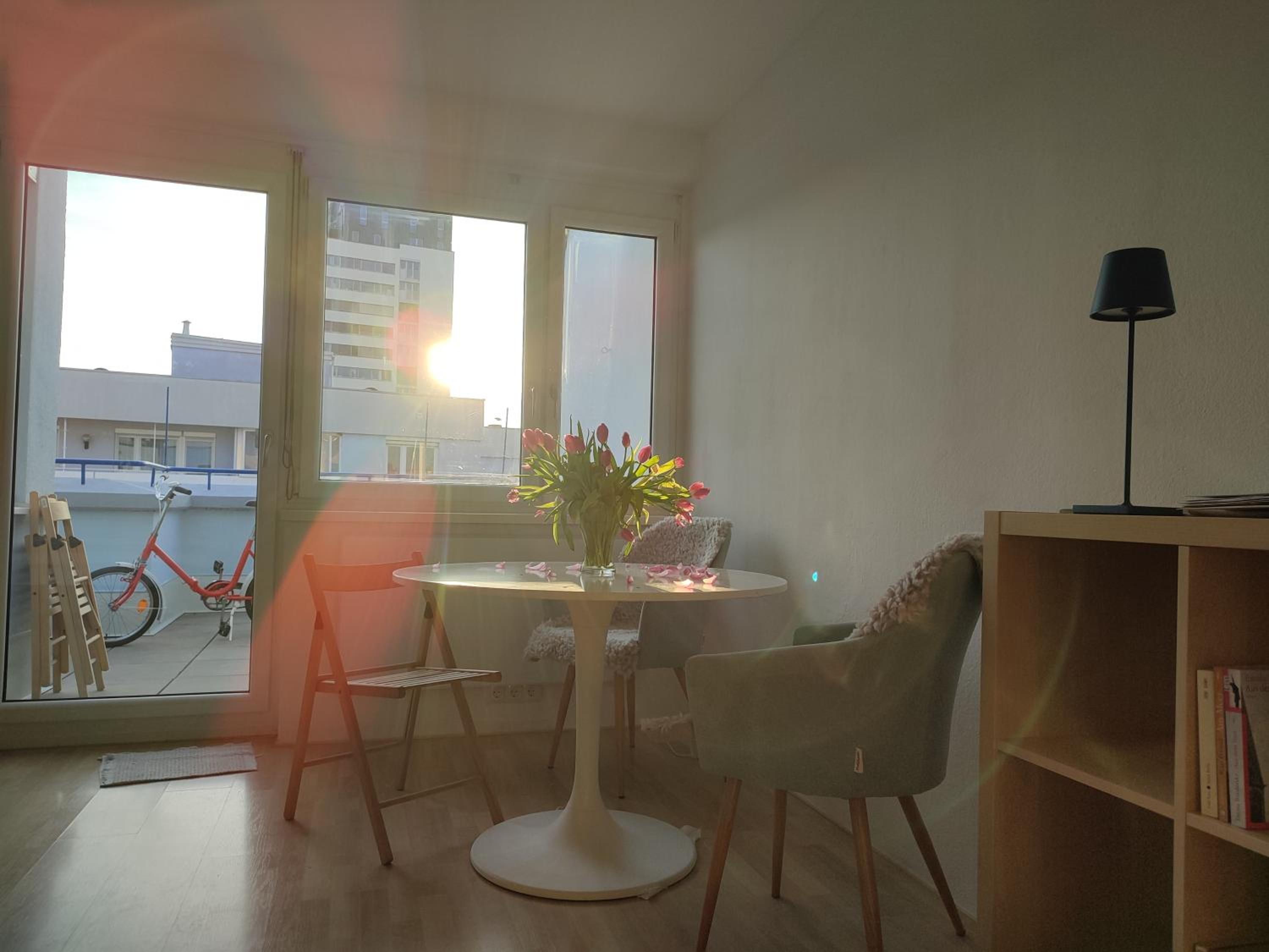 Studio mit Terrasse in zentraler Lage
