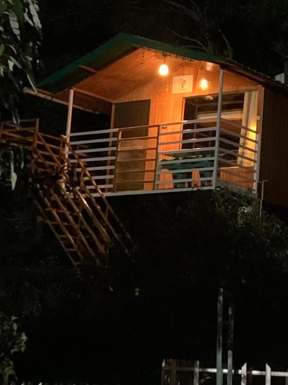 The Cocoon Camps & nature Resorts view 3