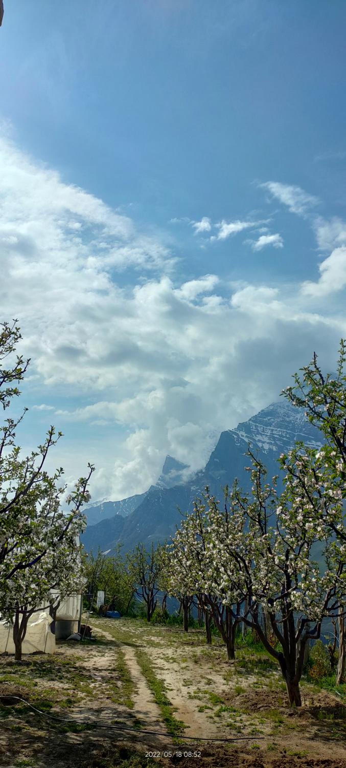Valley View Homestay Lahaul