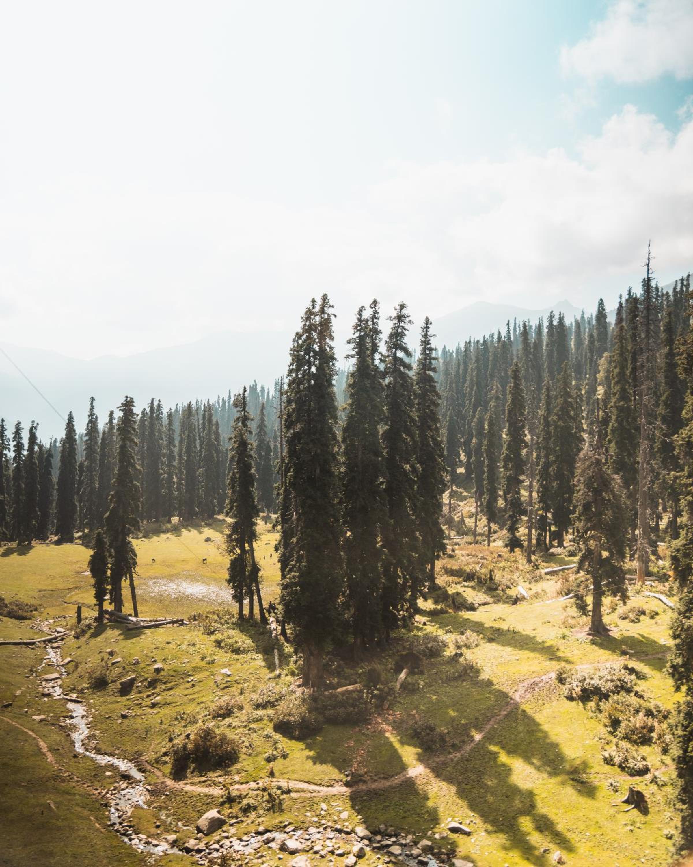 The Khyber Himalayan Resort & Spa
