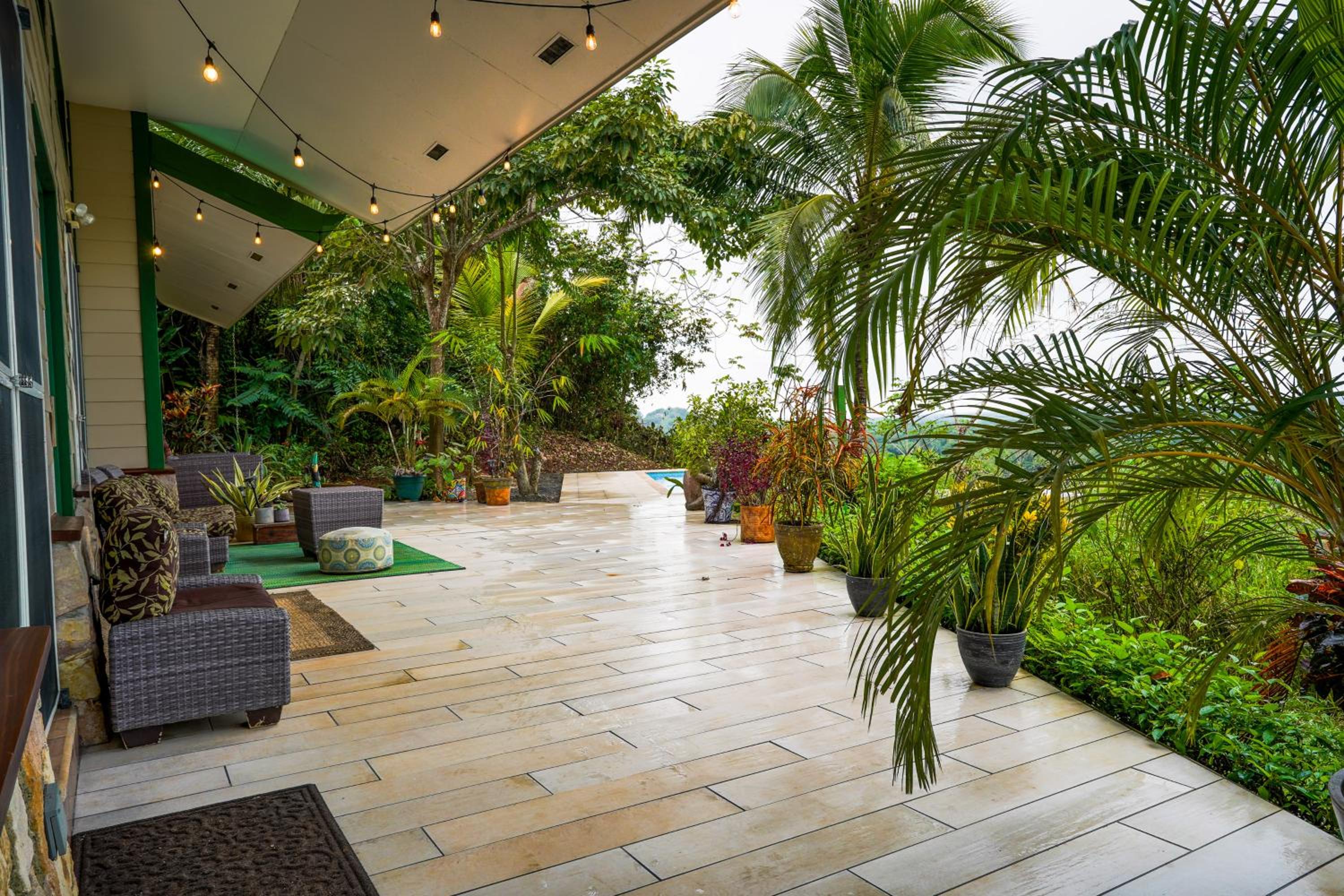 Jungle Jewel