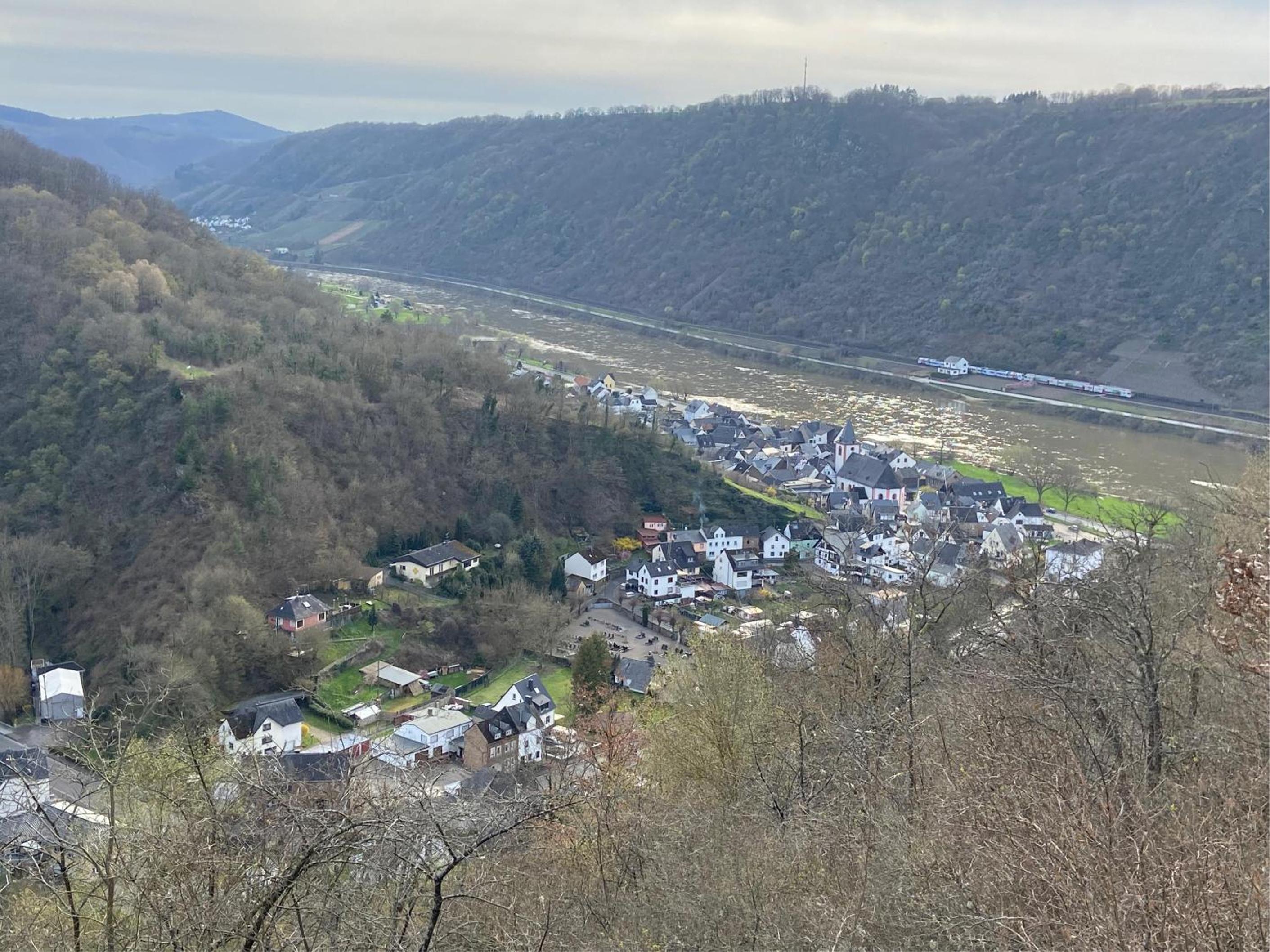 Ferienwohnung Moselglück