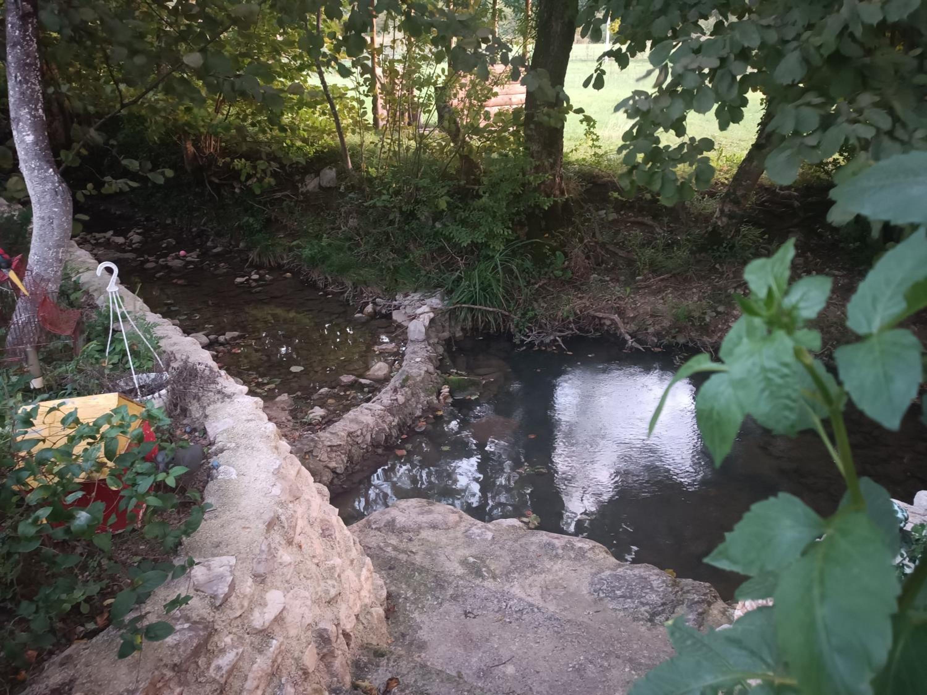Live Nature
