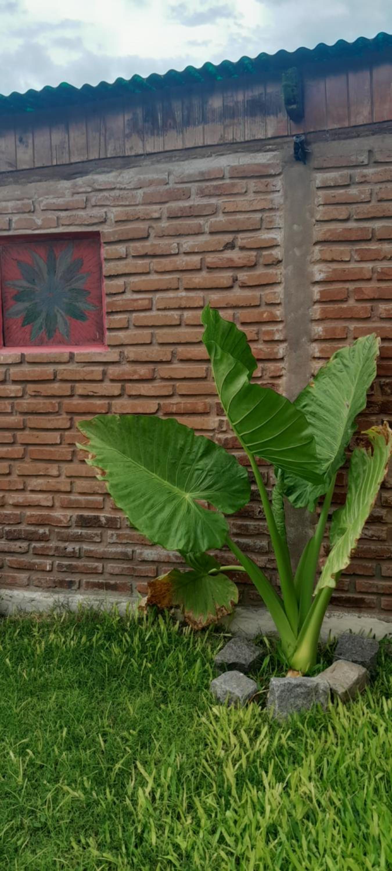 Casa Parivaar