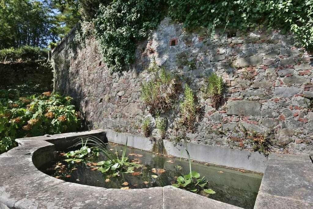 Villa Trenta Prestigious Villa Enchanting Garden
