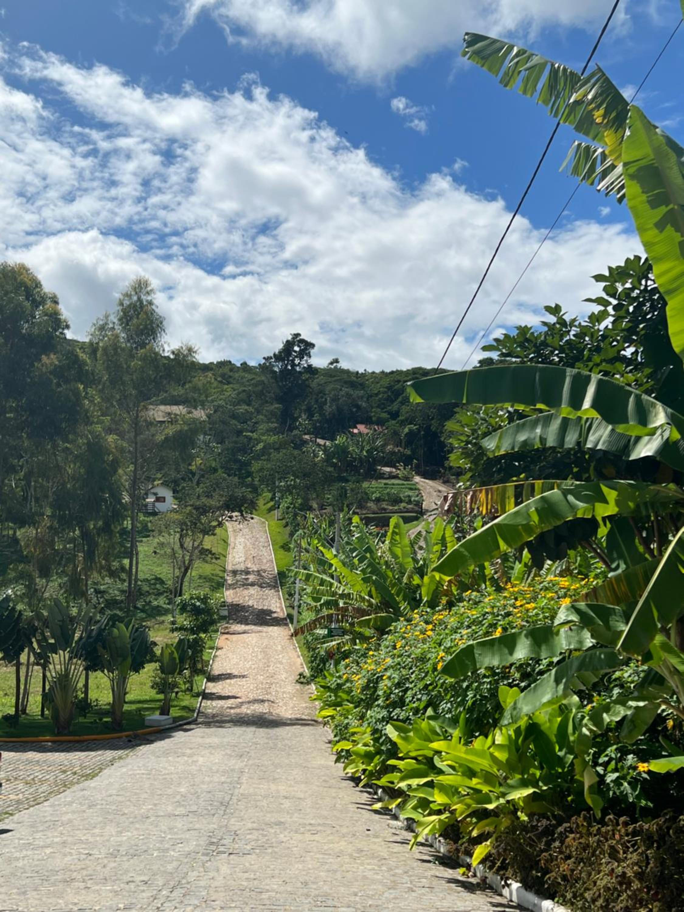 Cidade Jardim Apart
