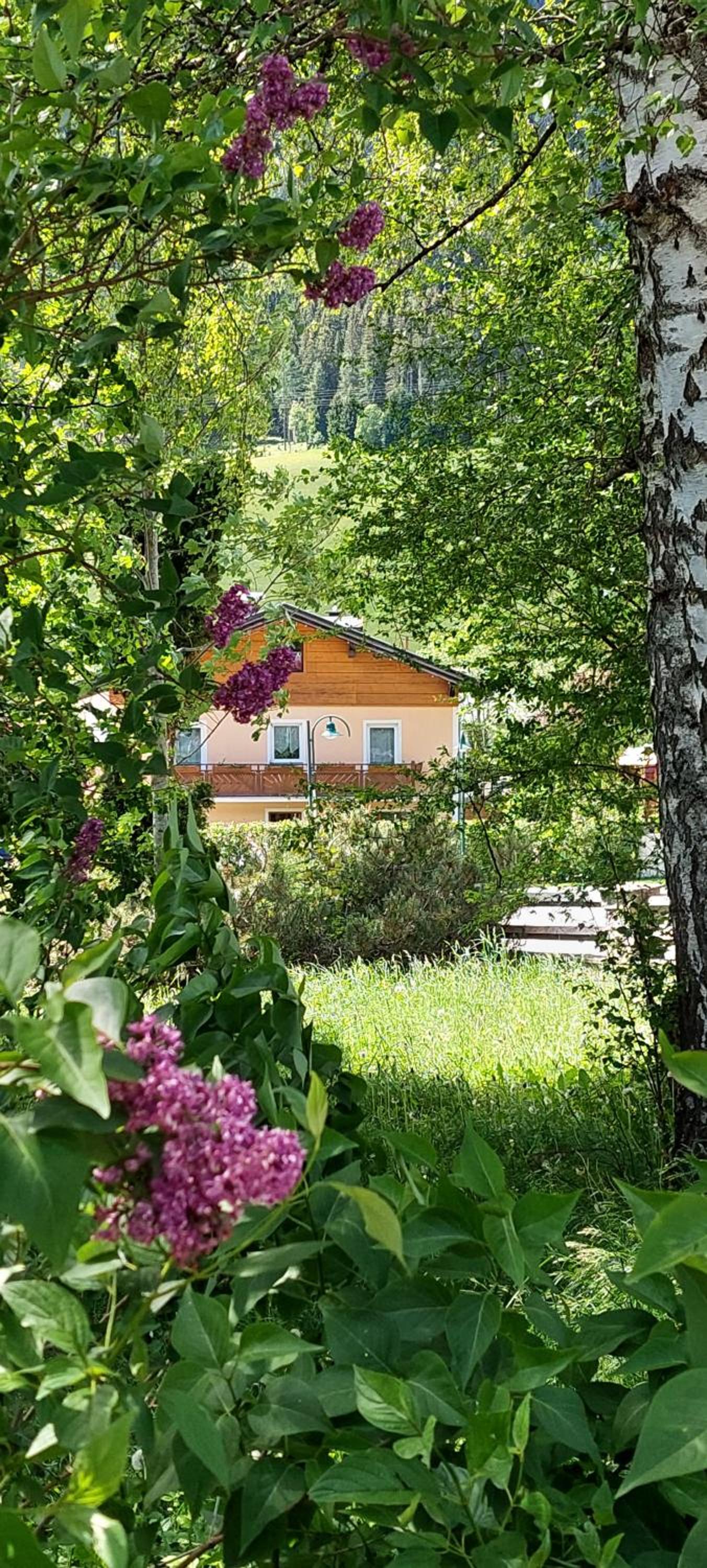 Appartements Haus Bergland