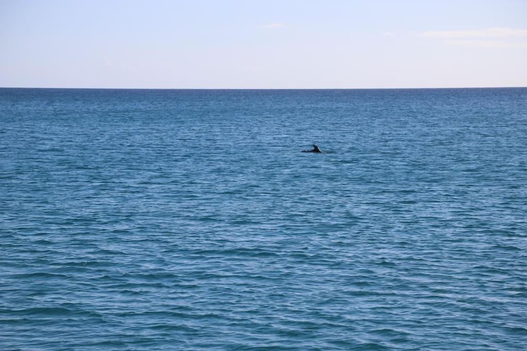 Ocean flat