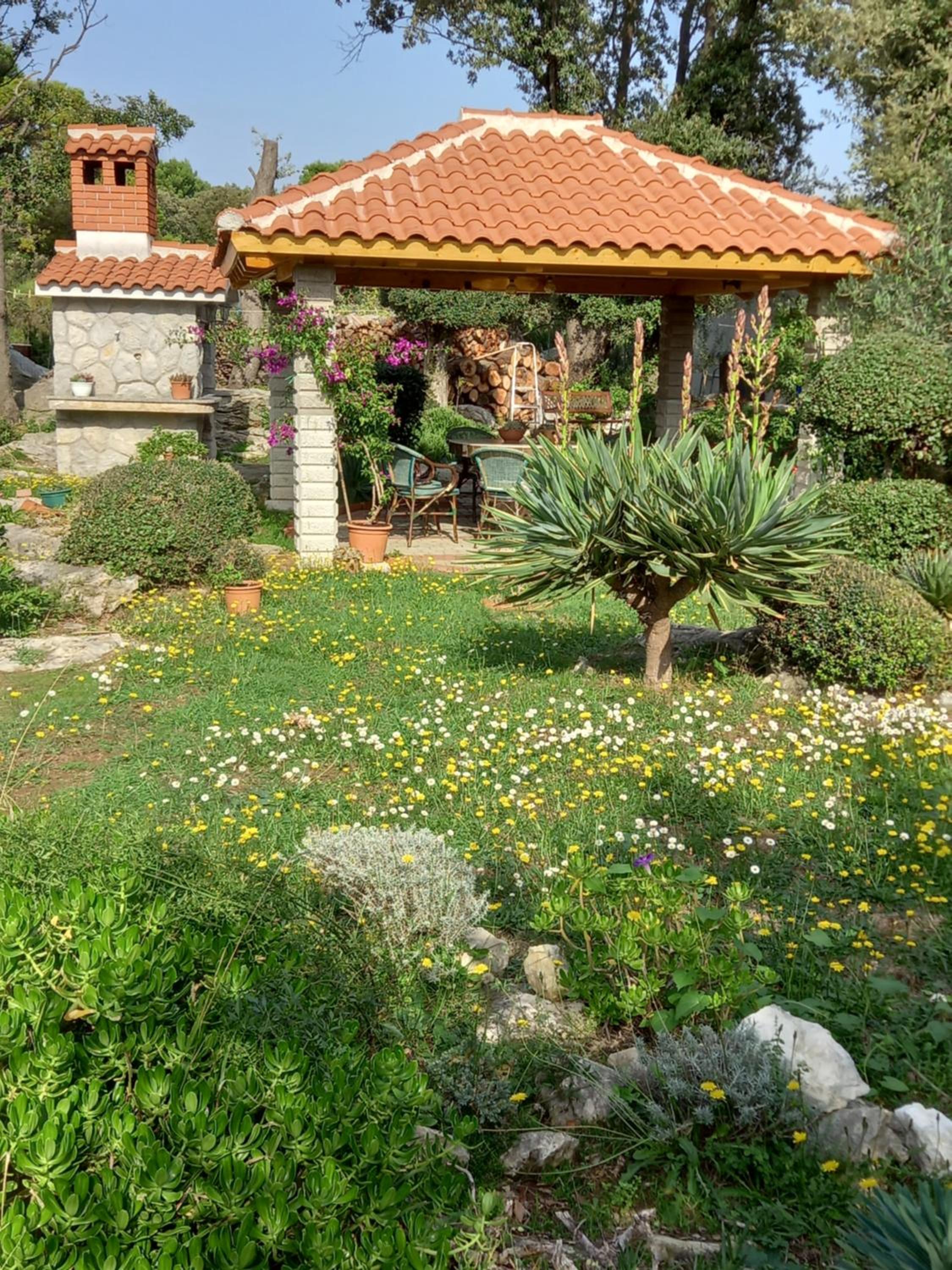 Photo 34