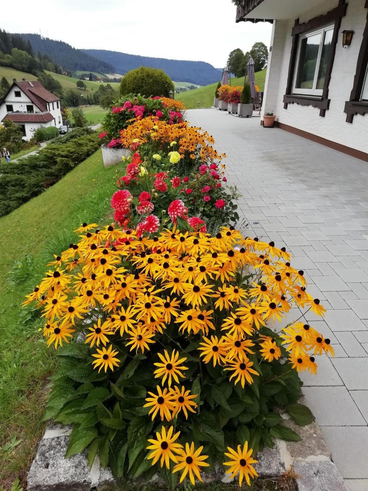 Pension Sohlhof
