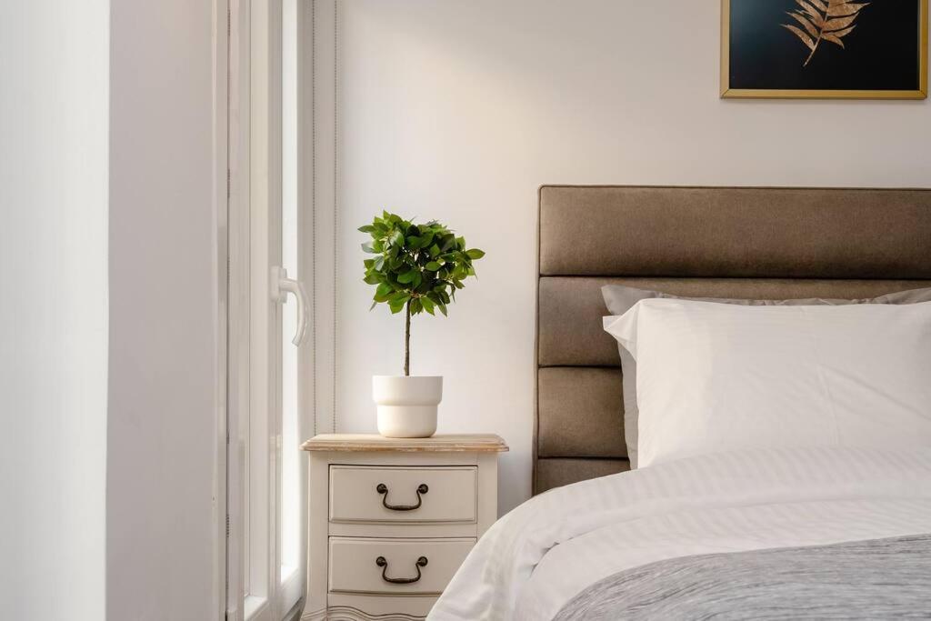 Modern Two Level Apartment in the Heart of Athens