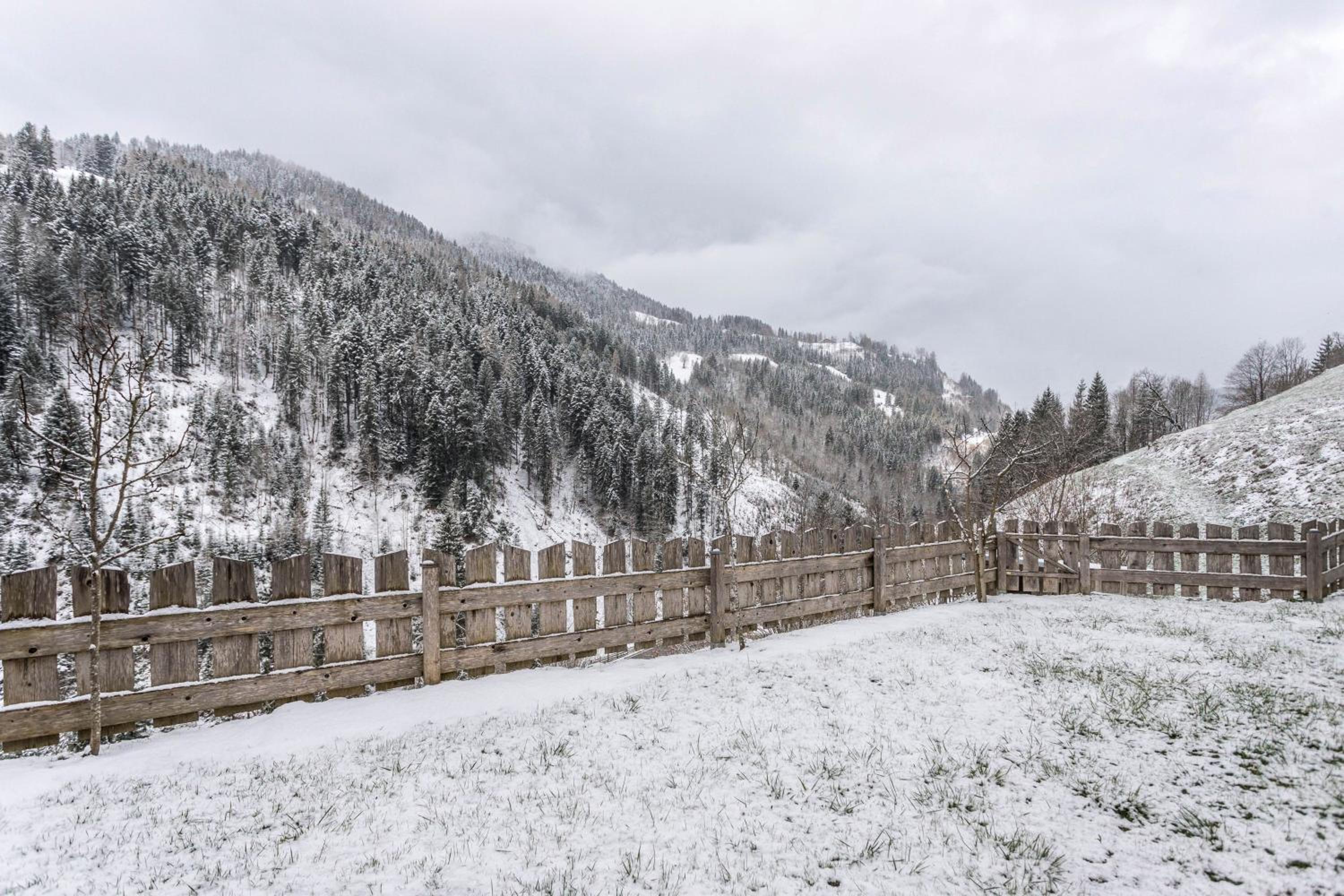 Apartment mit Blick auf die Berge