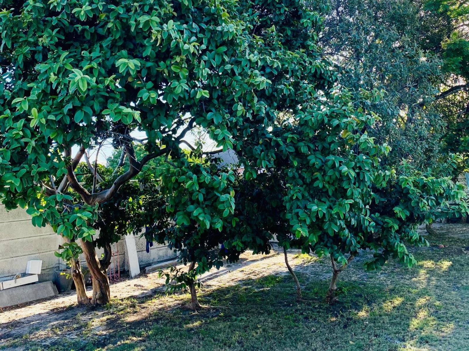 Le Lieu Accommodation