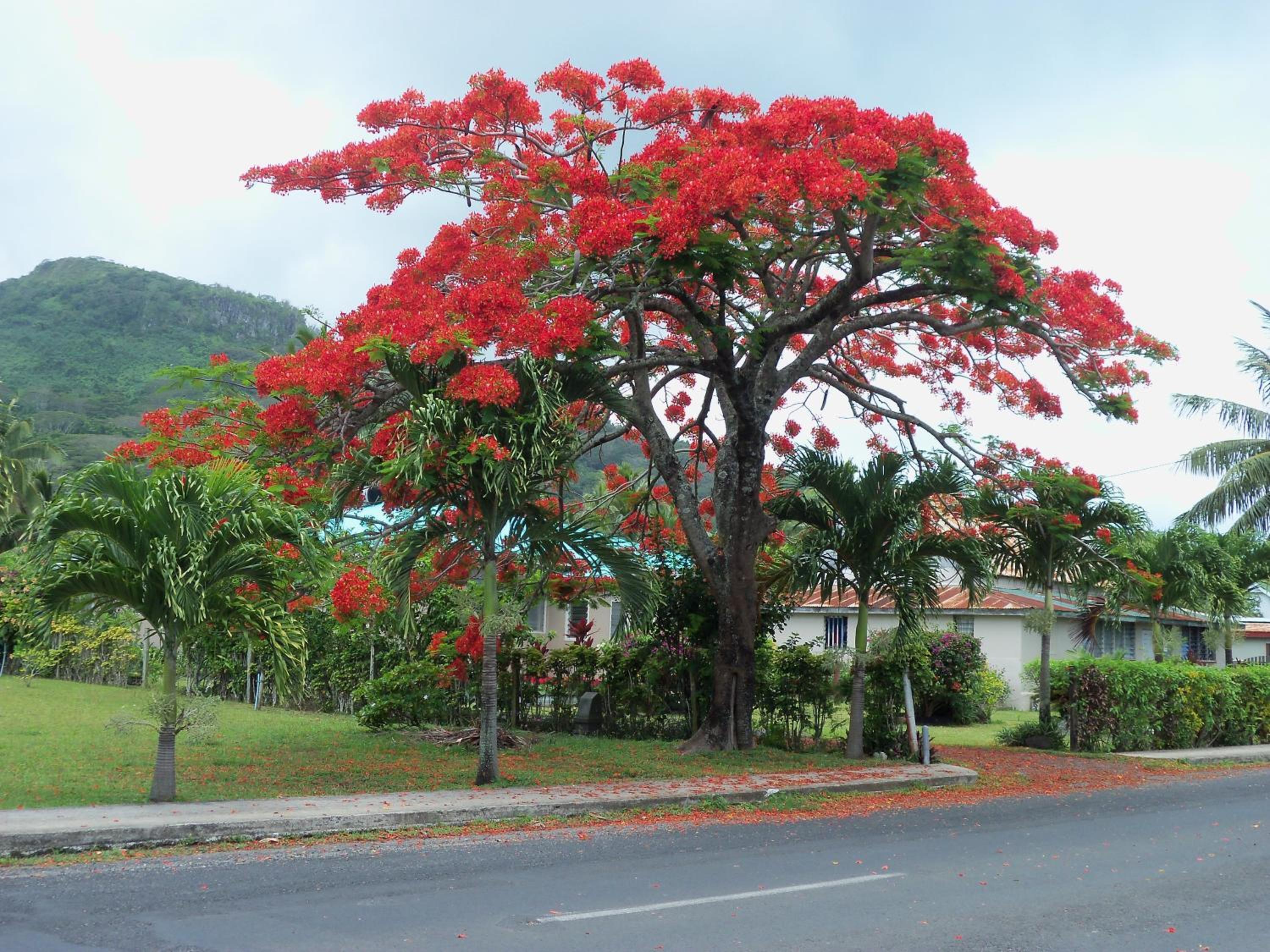 Coral Sands Apartments