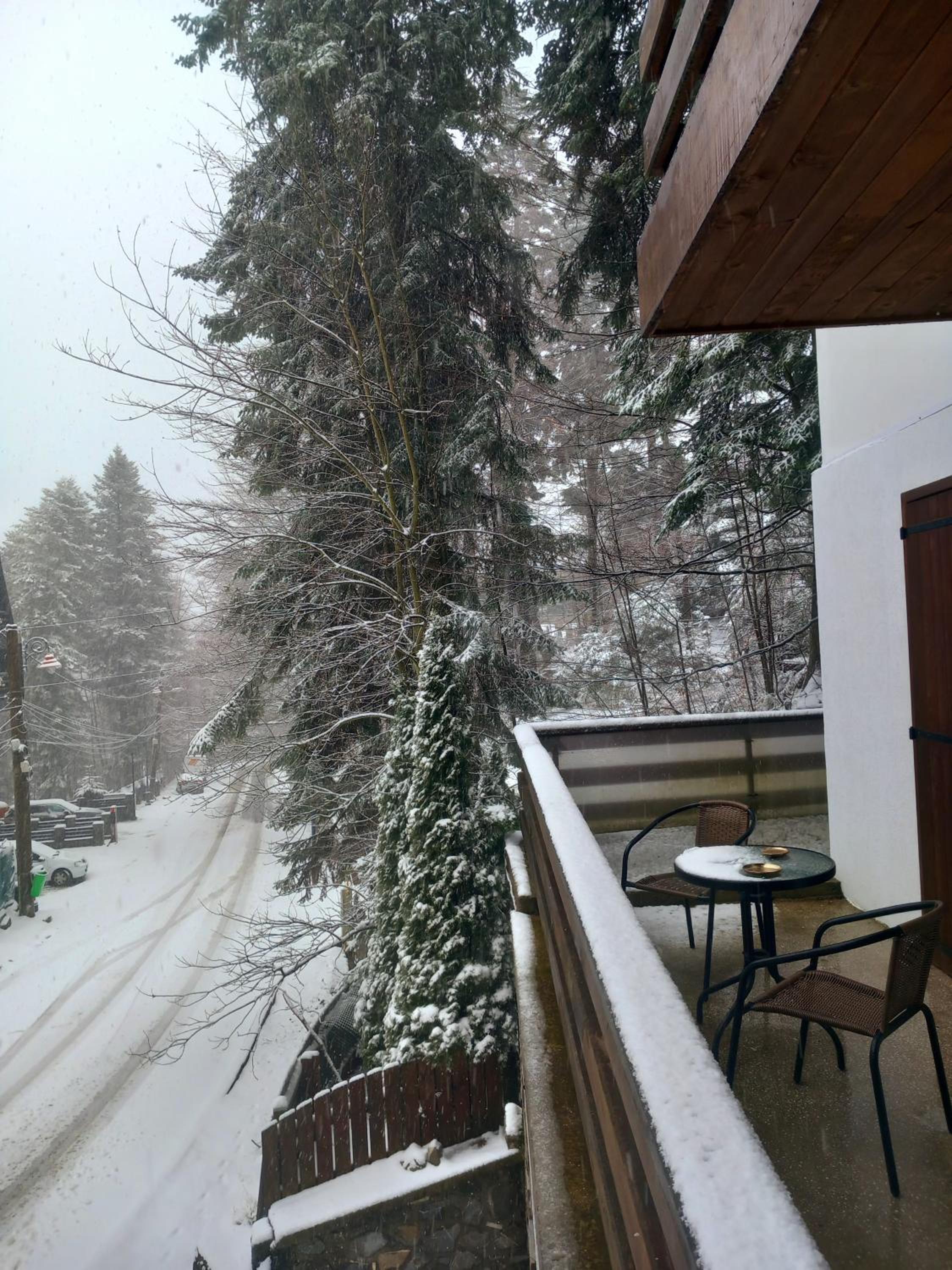 Maria Apartament