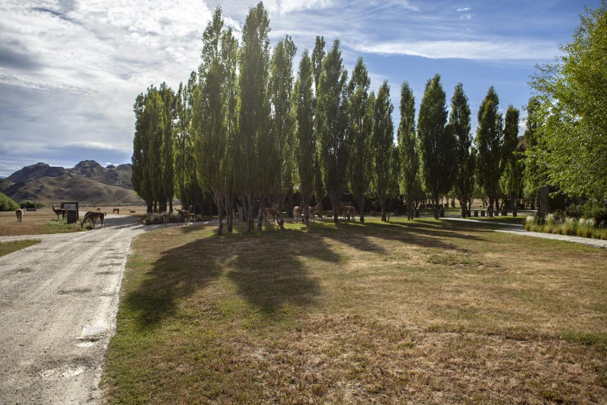 Explora en Parque Nacional Patagonia