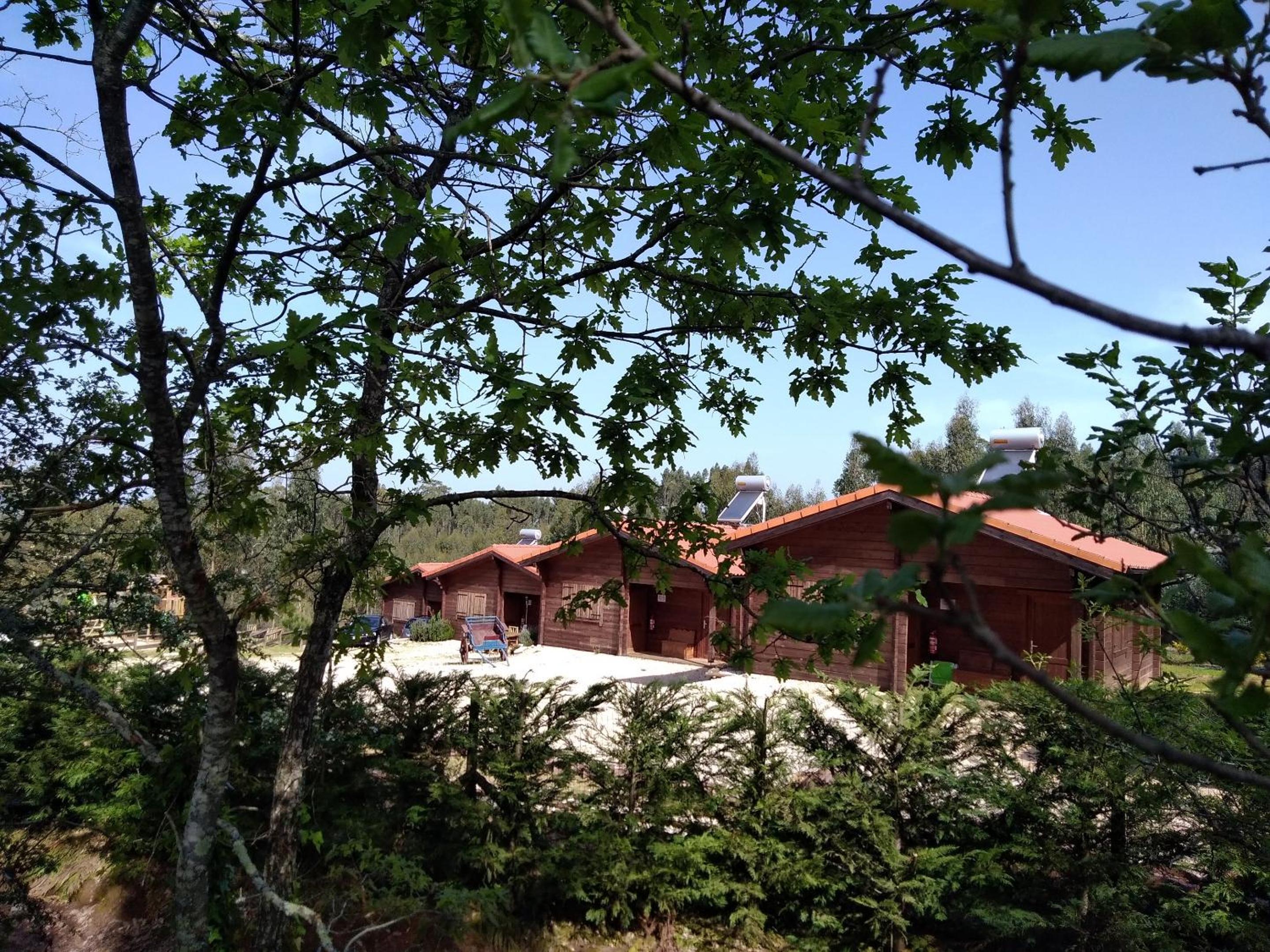 Cozy studio in Figueiró dos Vinhos 56 m² with shared pool view 3