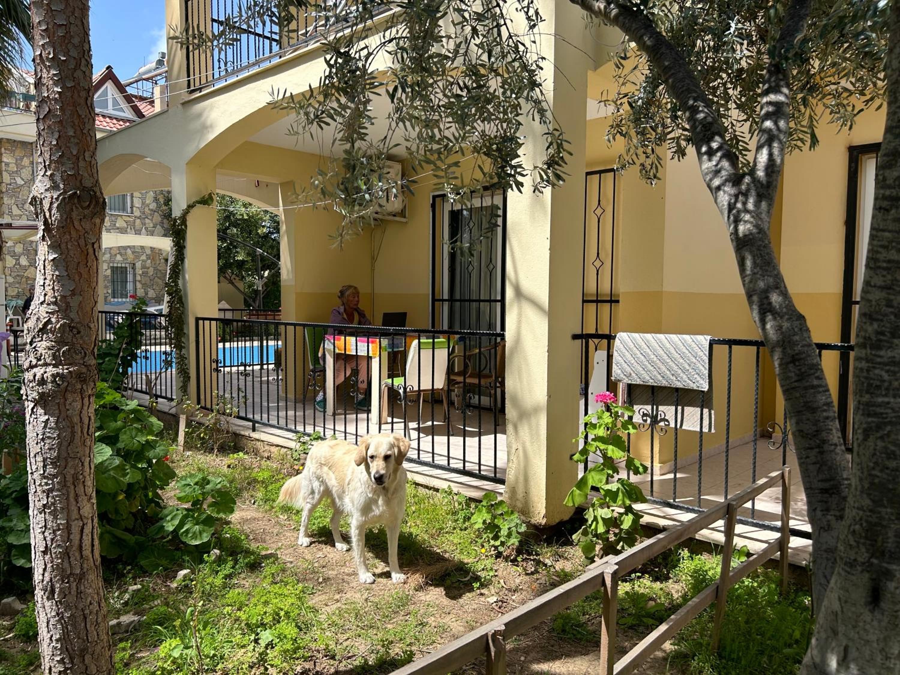 çileks apart otel - Image 65