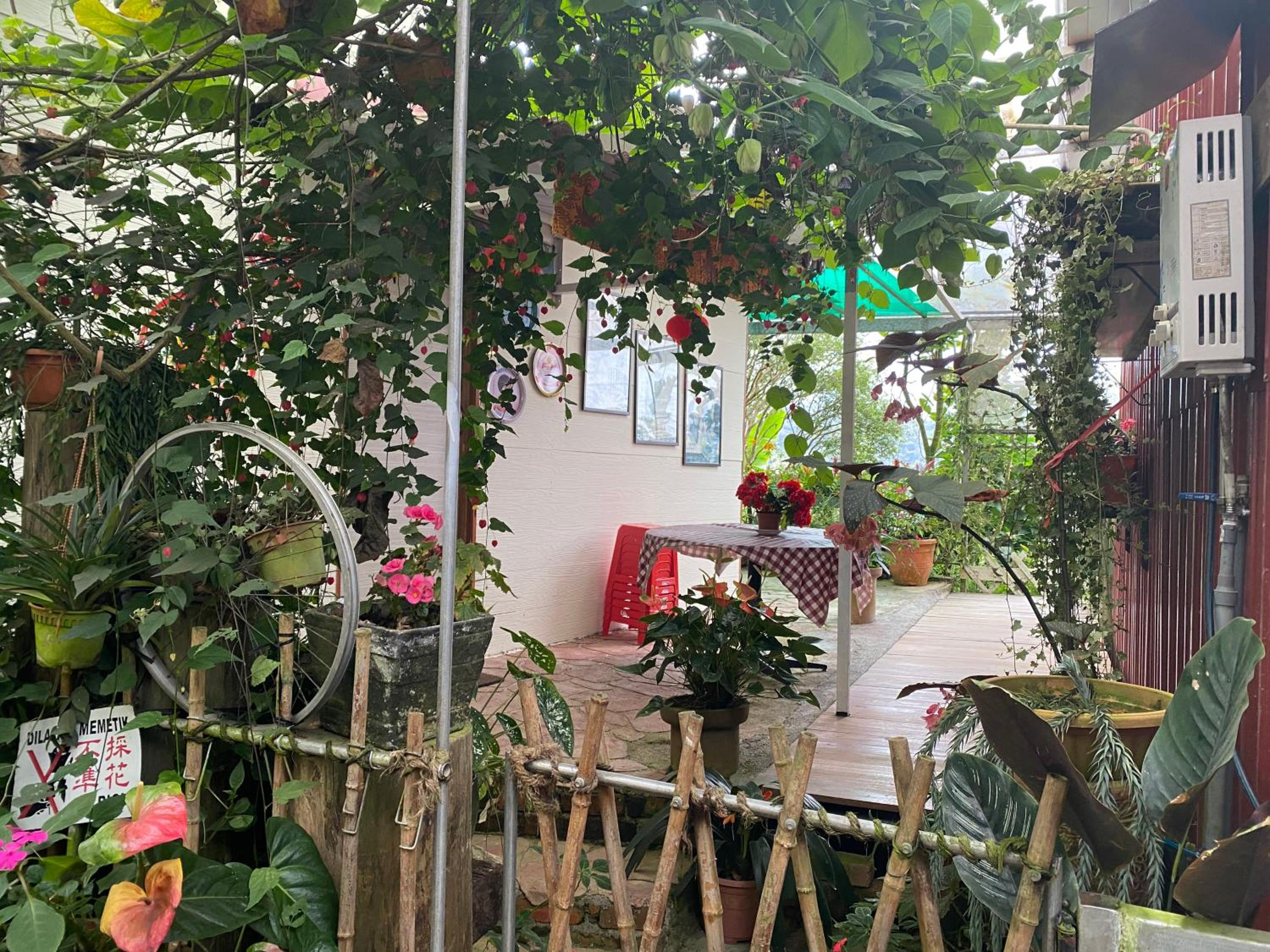 Photo 21