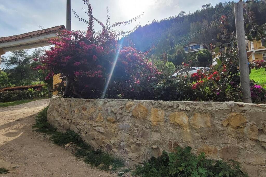 La Rosaleda - Hermosa finca, vista al lago, bosque privado y BBQ