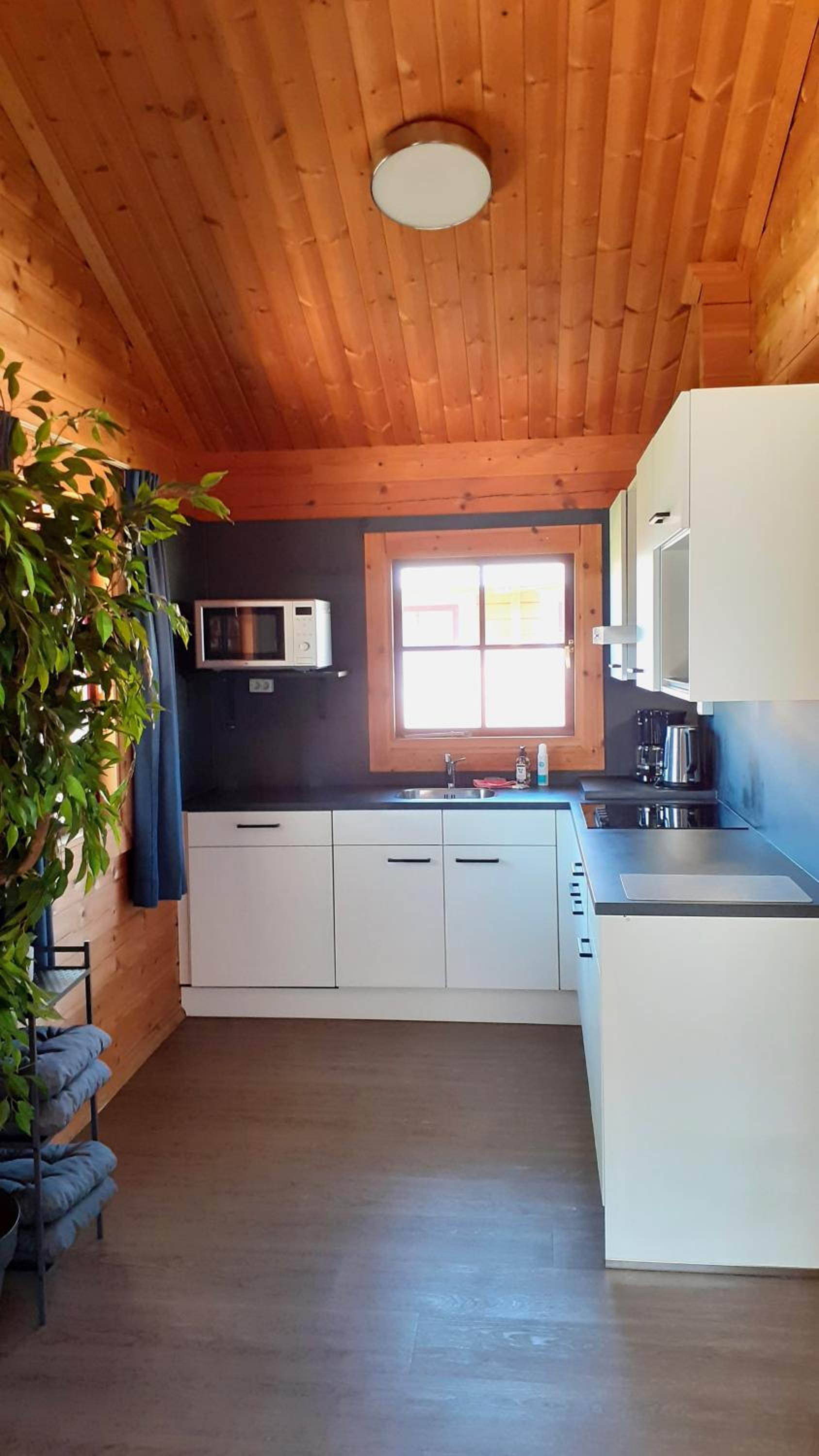 Lupine Lodge view 4