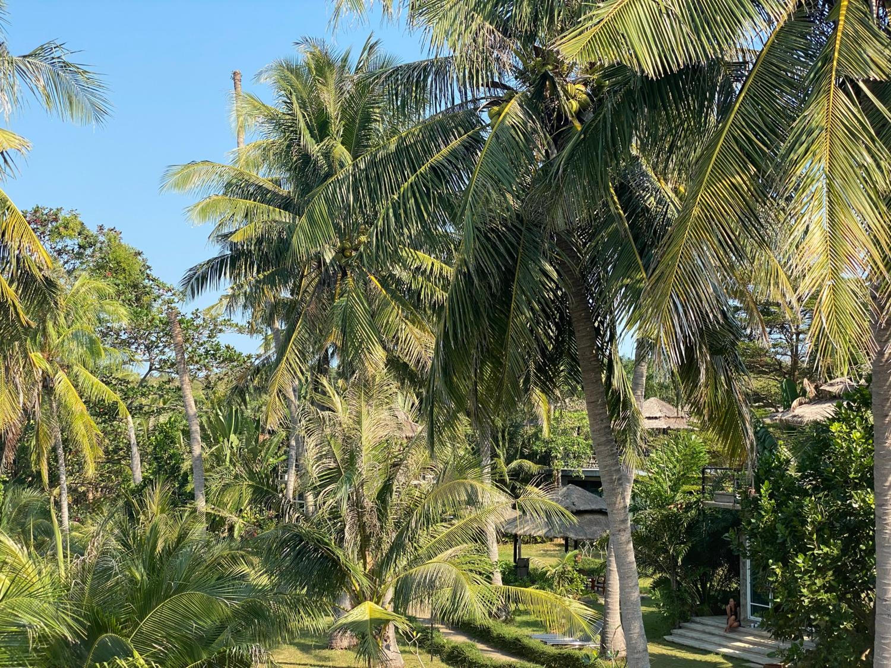 Koh Mak White Sand Beach