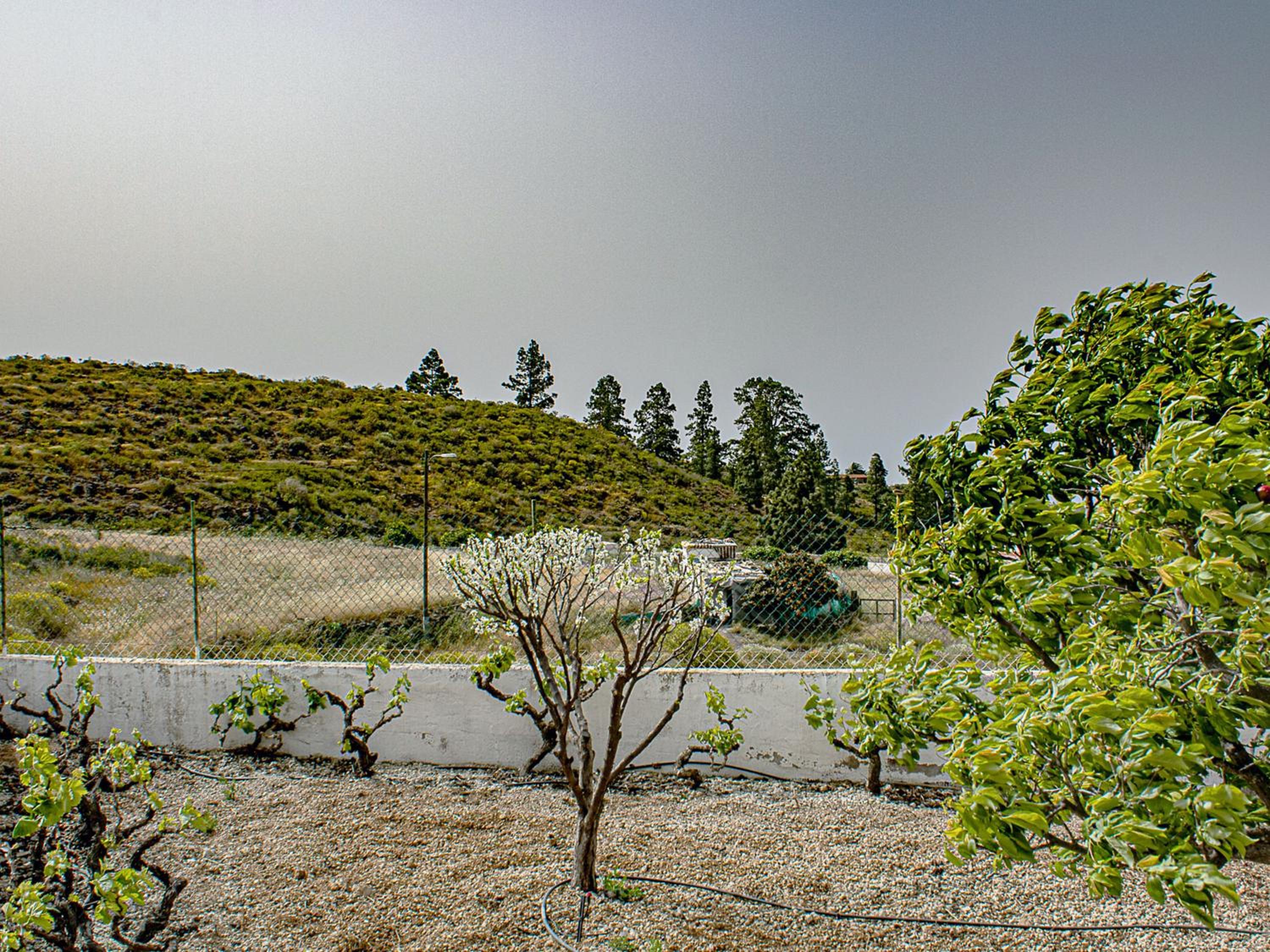 Live Adeje Taucho Relax Place with Terrace
