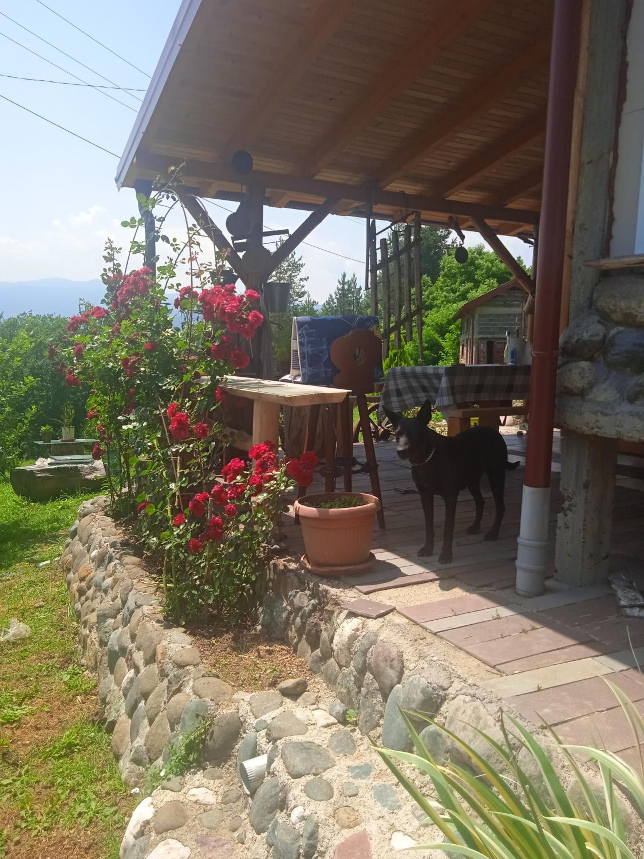 Spacious and Charming House in Vozuća with Large Garden