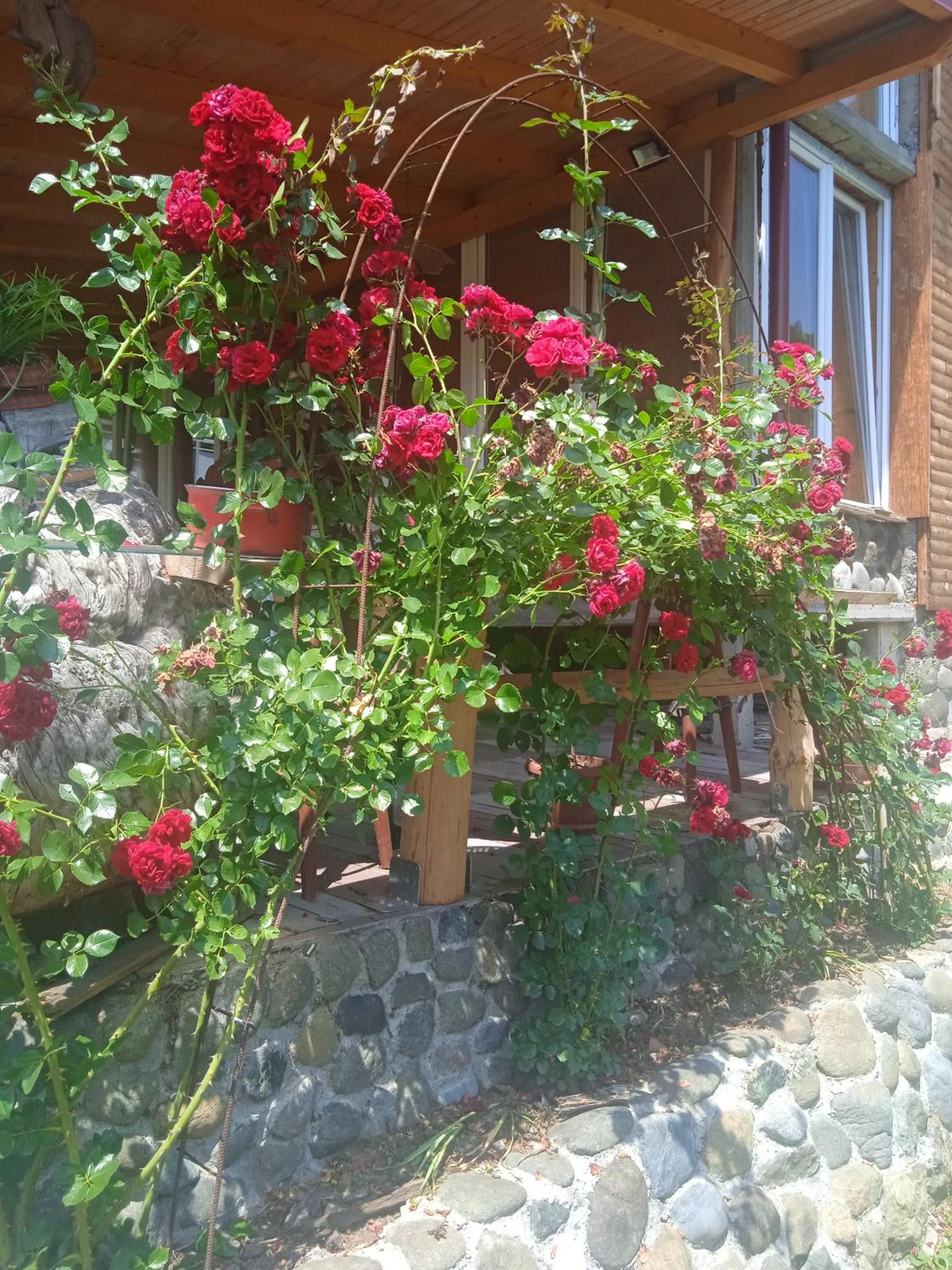 Spacious and Charming House in Vozuća with Large Garden