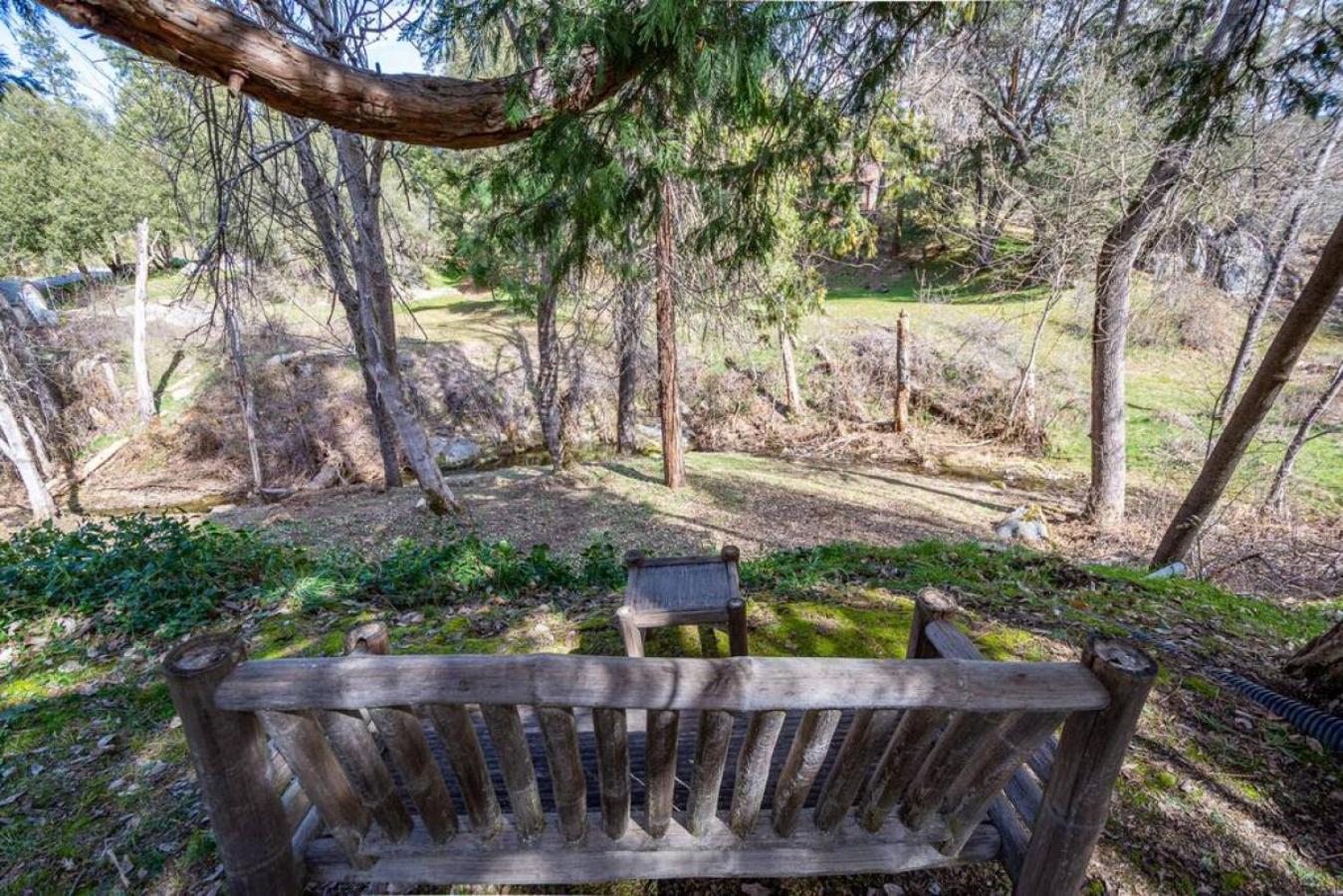 Forest Cabin by China Creek view 5