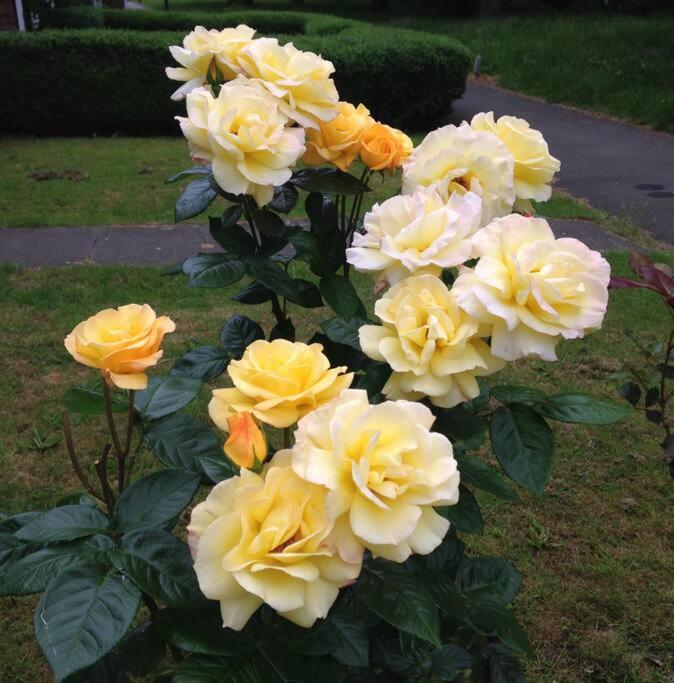 Photo 24