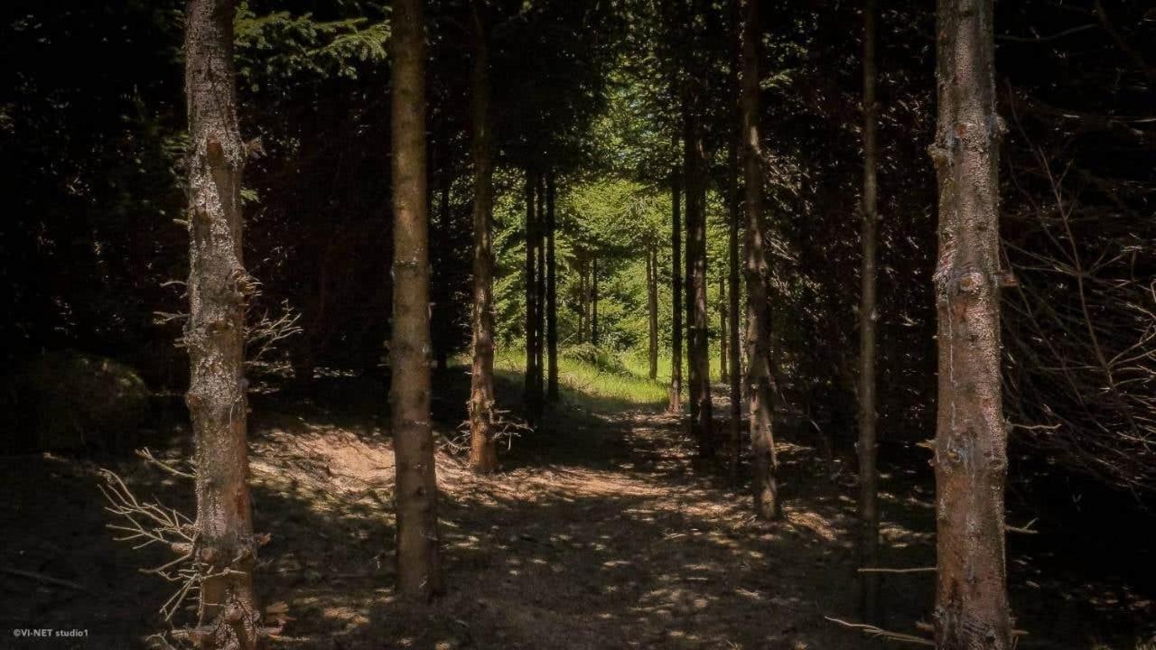 Green Forest Visoko