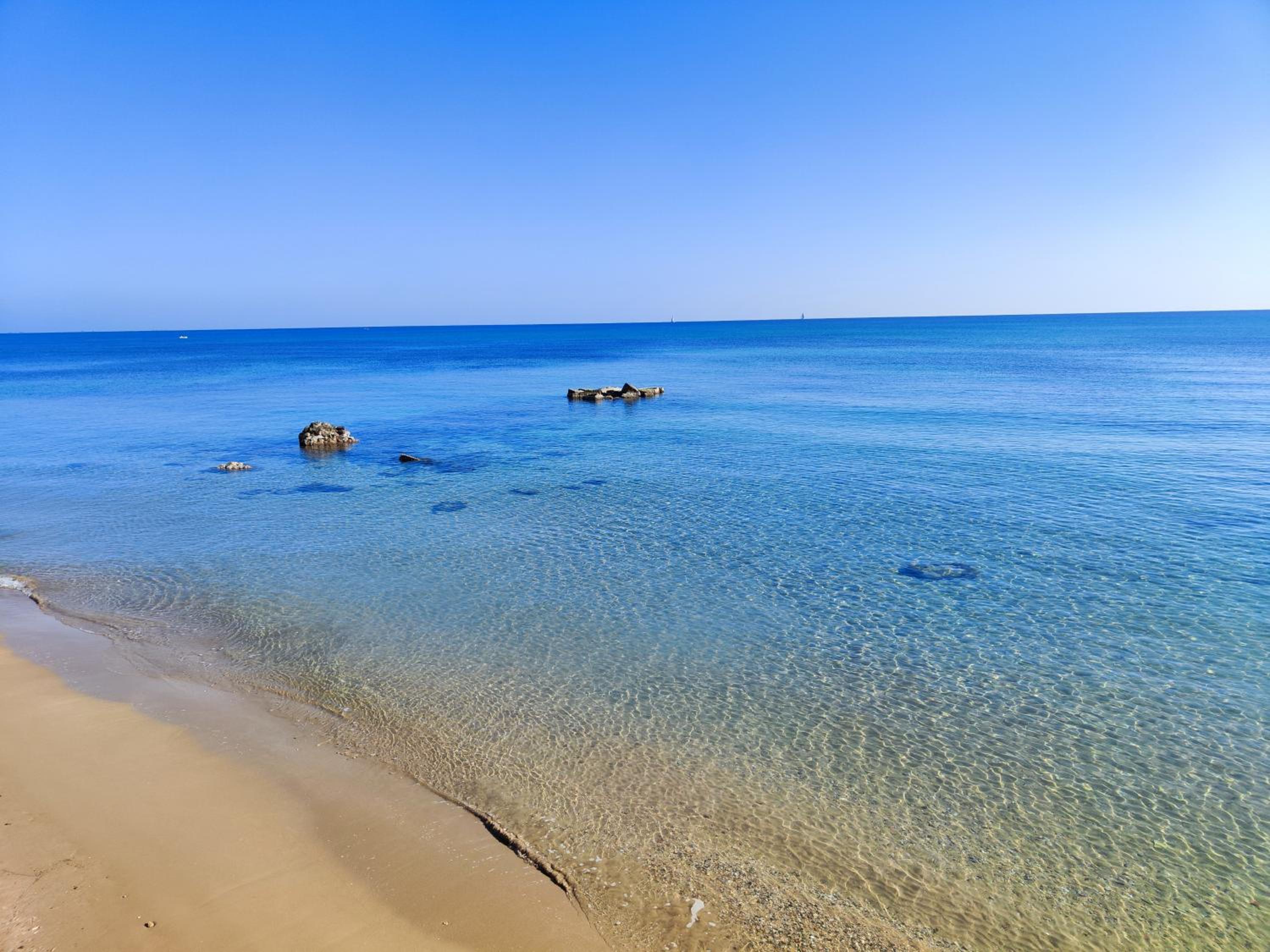 Apartament pod Palmami /Bajo las Palmeras