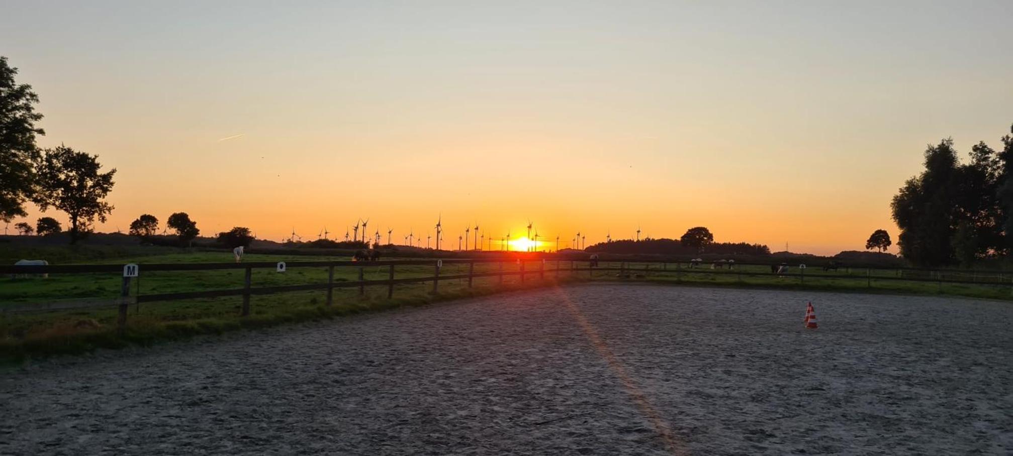 Ferienwohnung Baltrum auf dem Elisenhof Hagermarsch