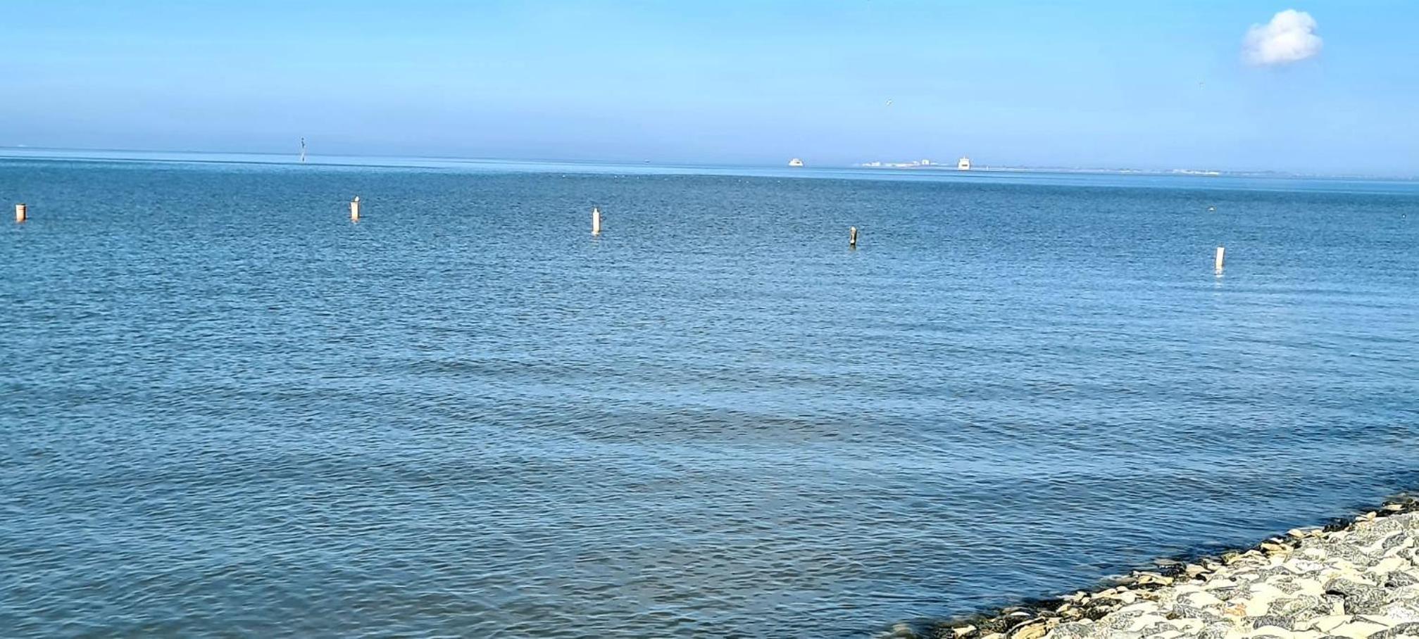 Ferienwohnung Baltrum auf dem Elisenhof Hagermarsch