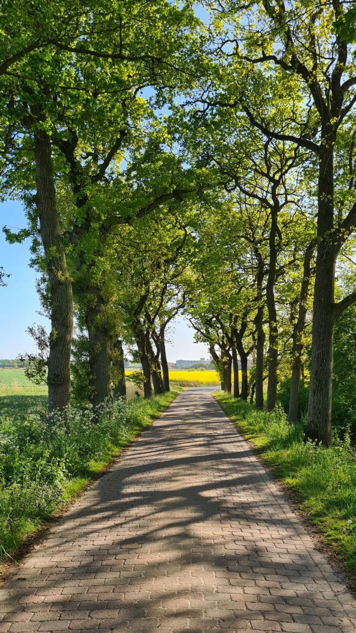 Ferienwohnung Baltrum auf dem Elisenhof Hagermarsch