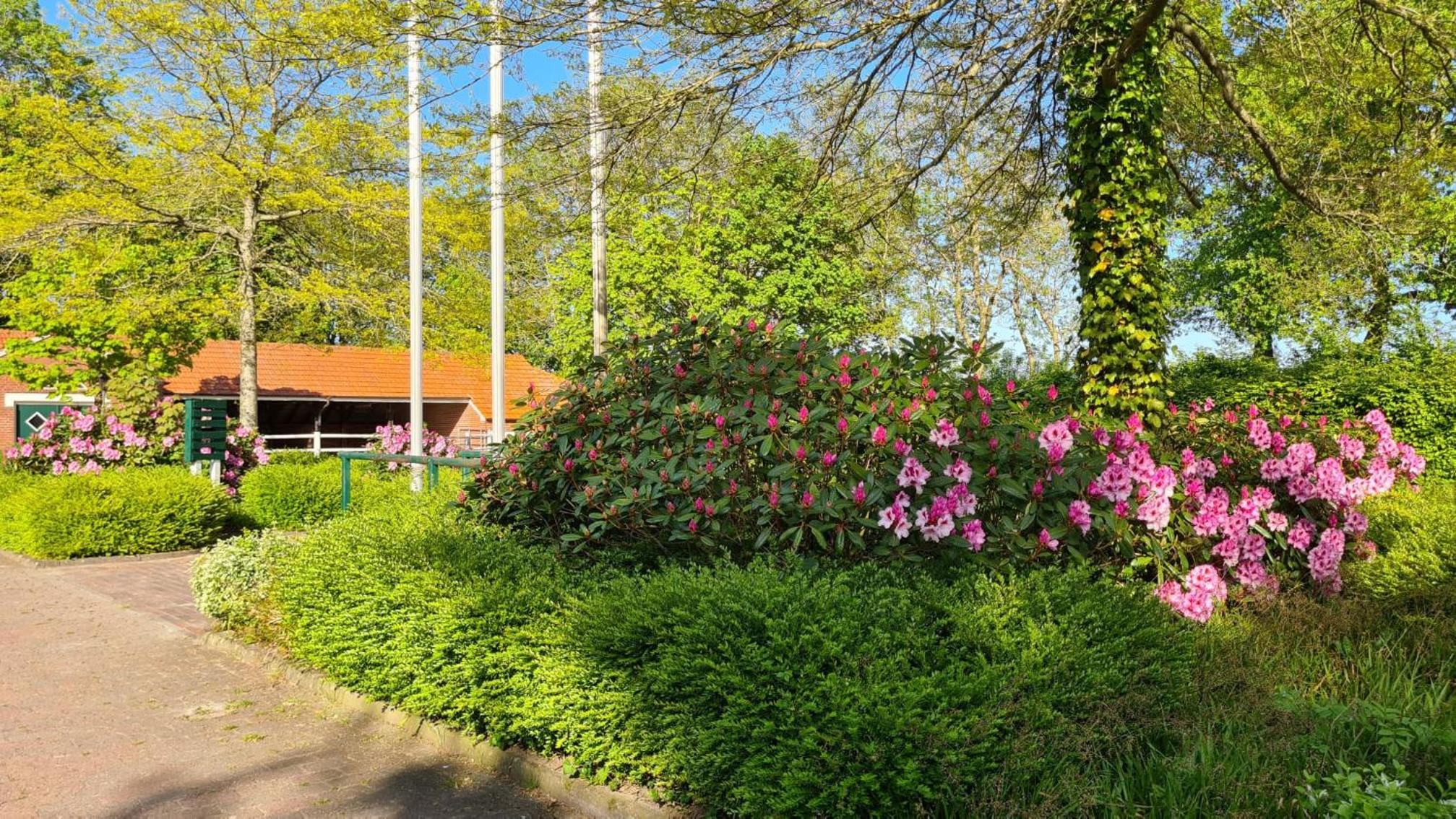 Ferienwohnung Baltrum auf dem Elisenhof Hagermarsch