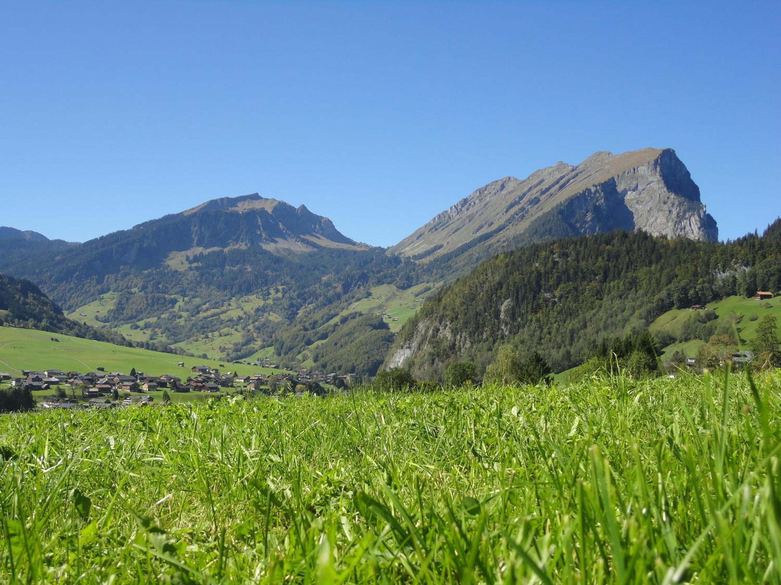 Haus Alpina